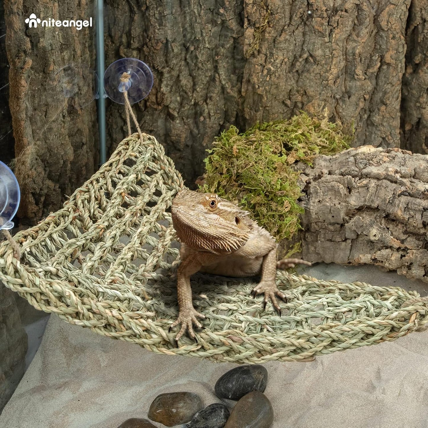 Hängematte für Reptilien, Dreieck 17'' x 12.5''