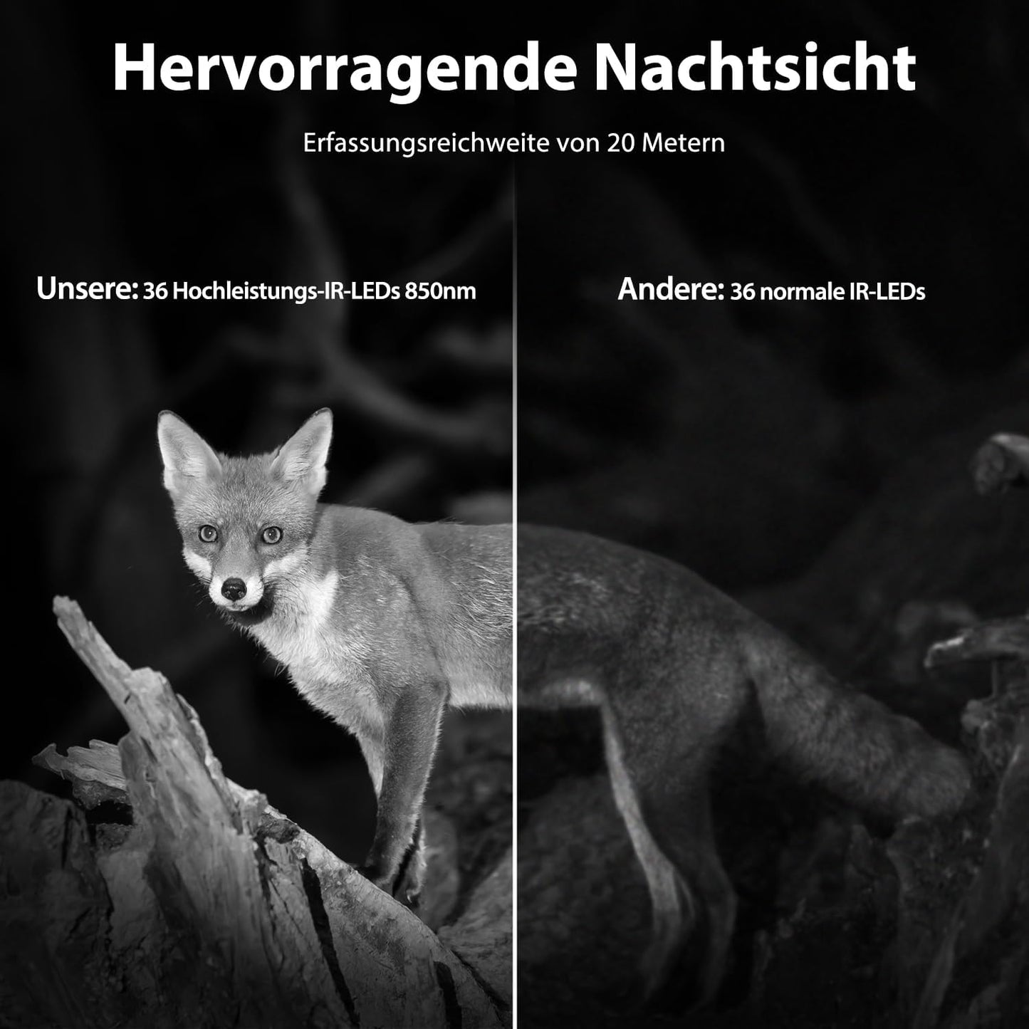 Wildkamera Solar mit Handyübertragung, Hellgrau