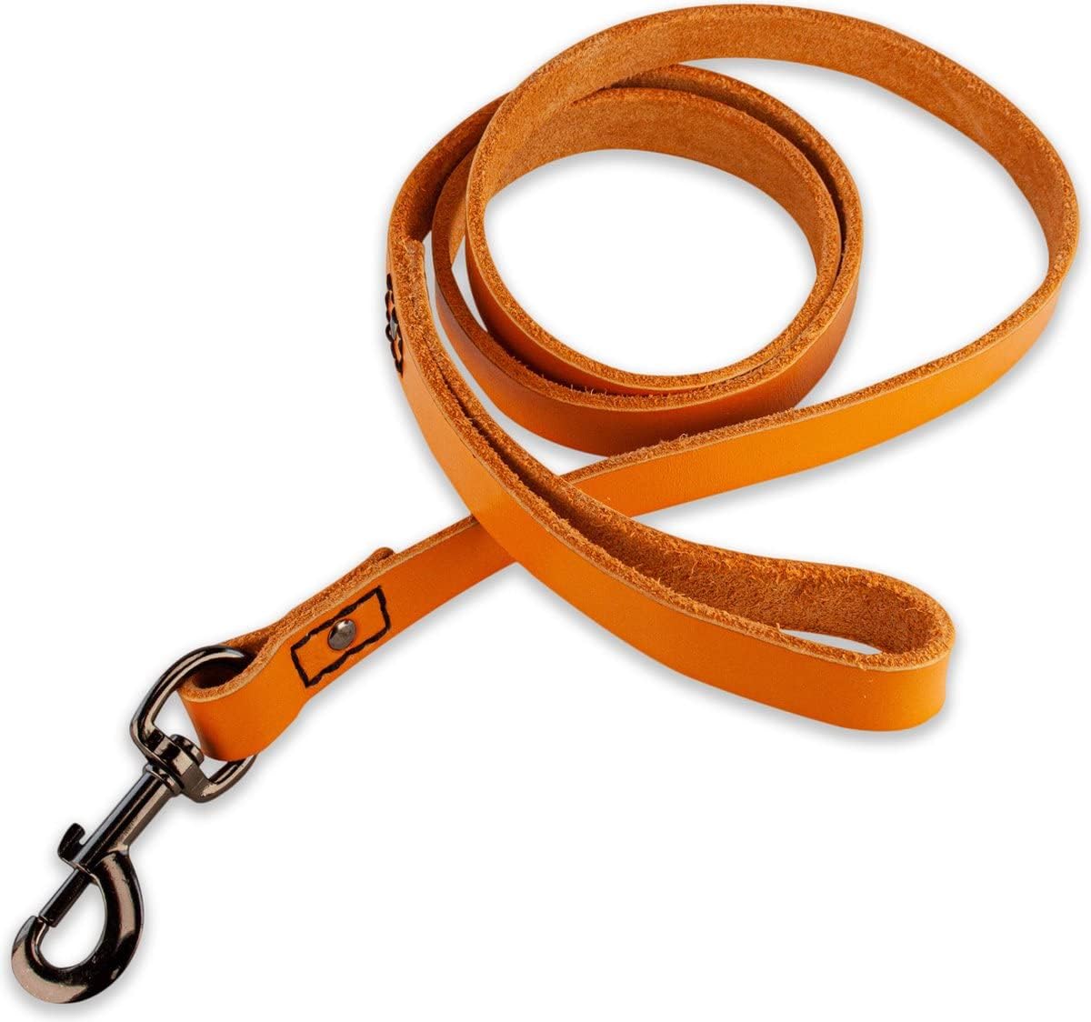 Hundeleine, Orange/Schwarz / 140cm