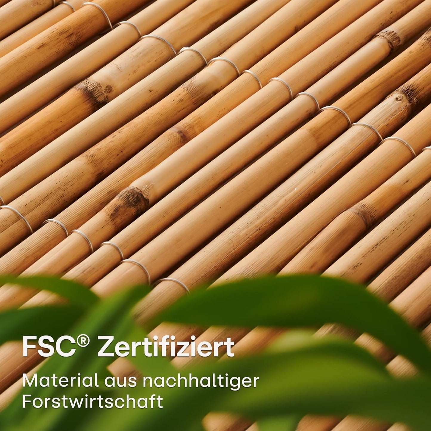 Schilfrohr Sichtschutzzaun für Balkon & Garten
