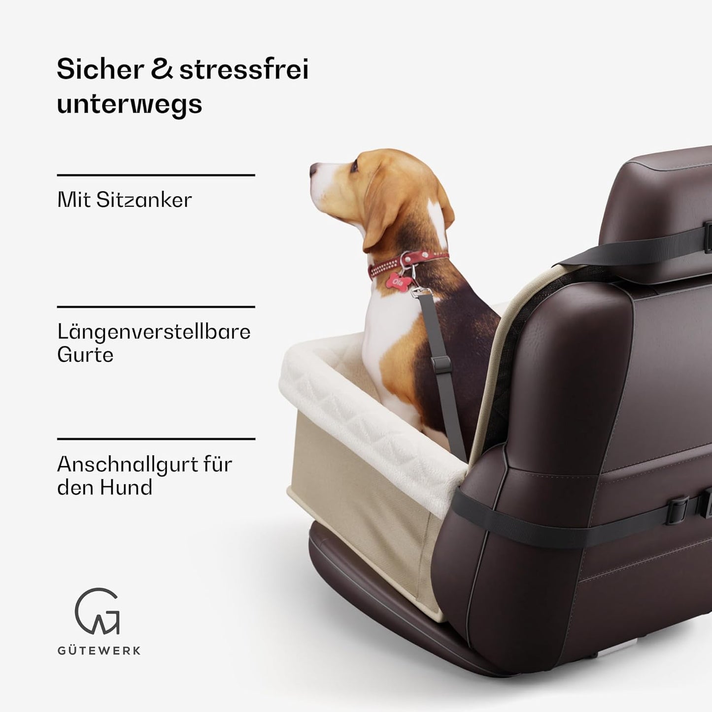 Faltbarer Autositz für Hunde