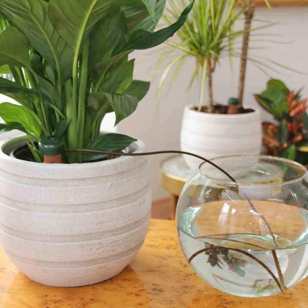 Wasserspender für Zimmerpflanzen, 6 Stück