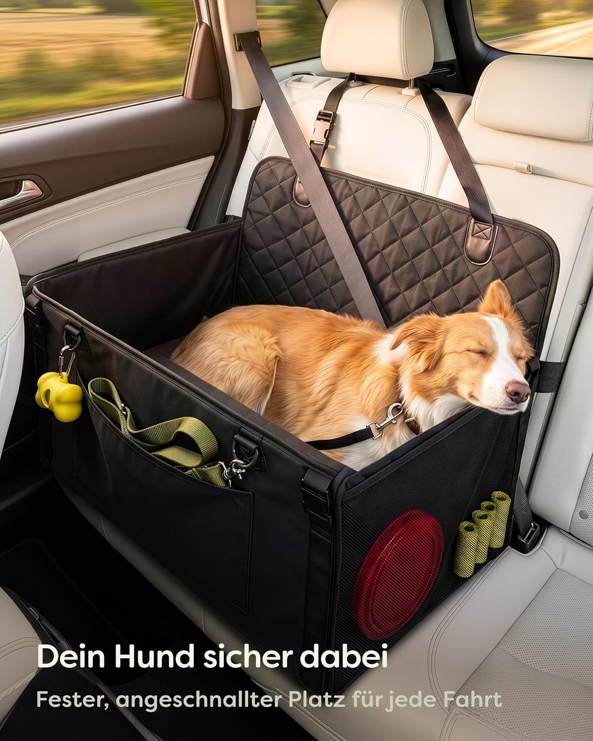 Extra Stabiler Hundeautositz für Rückbank