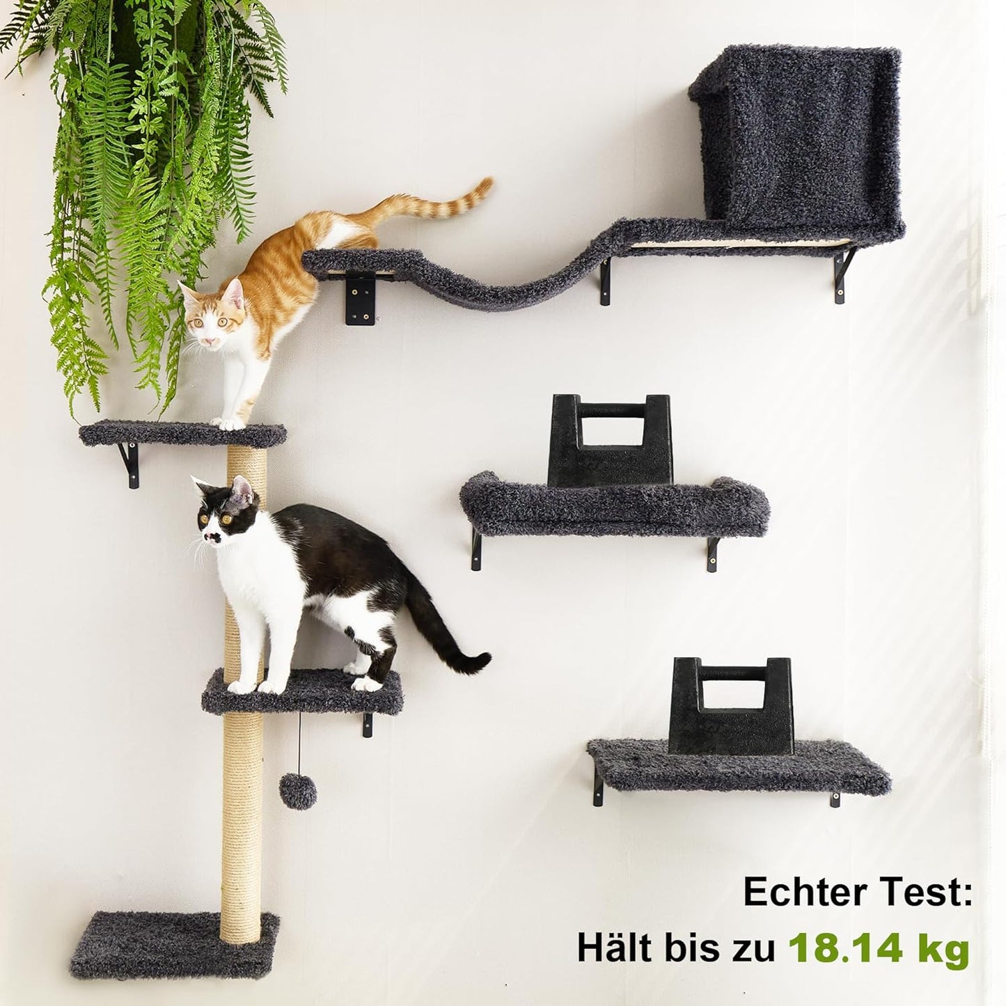 Kletterwand Katzen Set, Grau