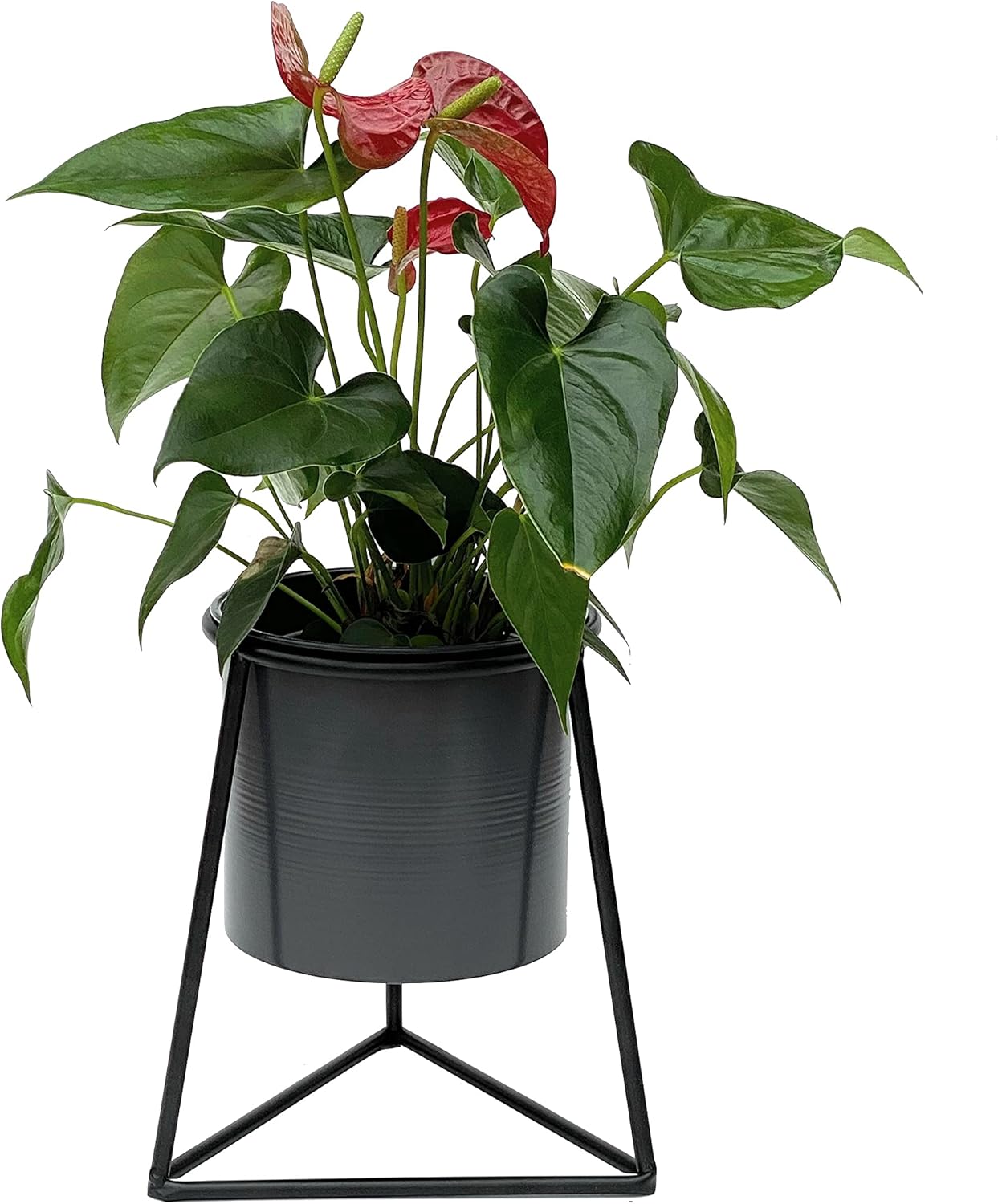 Blumenhocker mit Topf 96052 S
