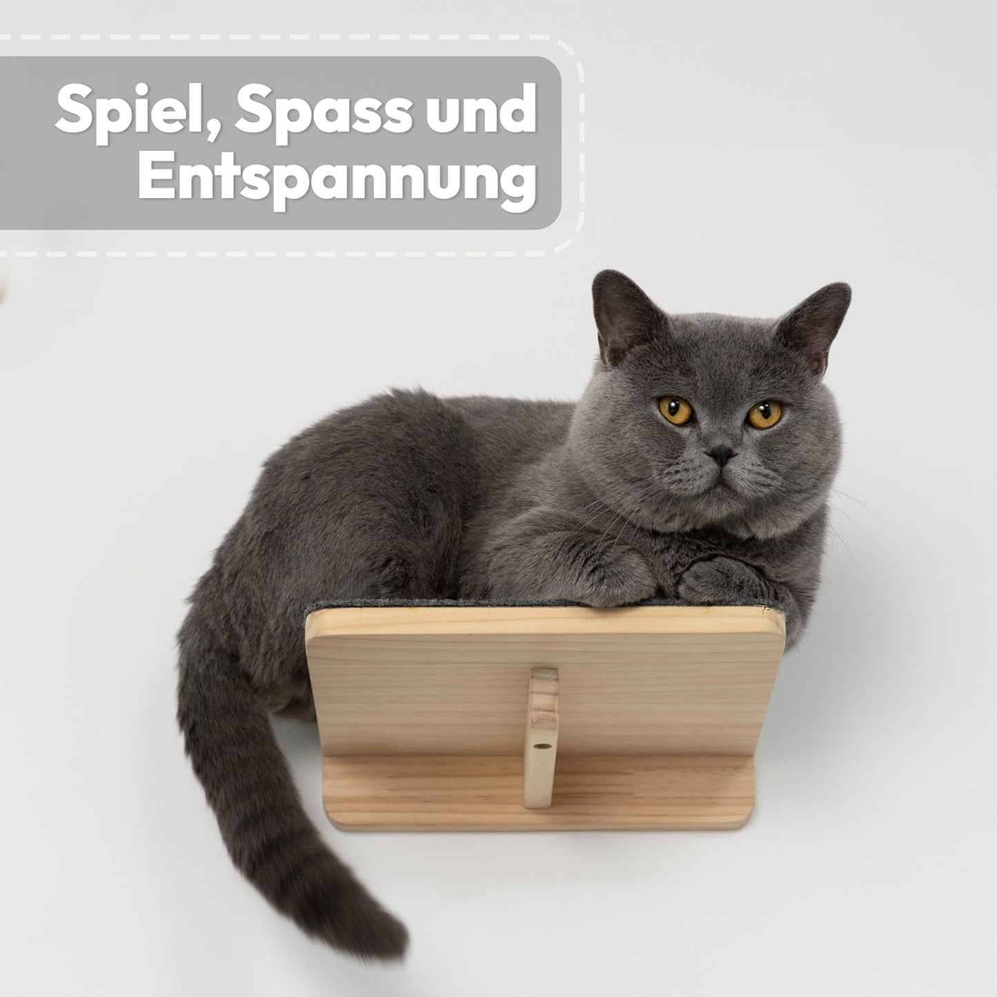 3-teiliges Katzen-Kletterwand-Set, 3-teilig Beige