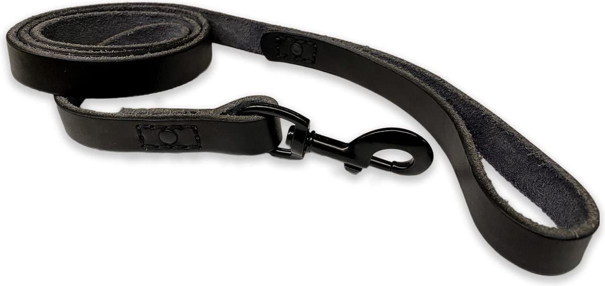 Hundeleine, Ganz Schwarz 180cm