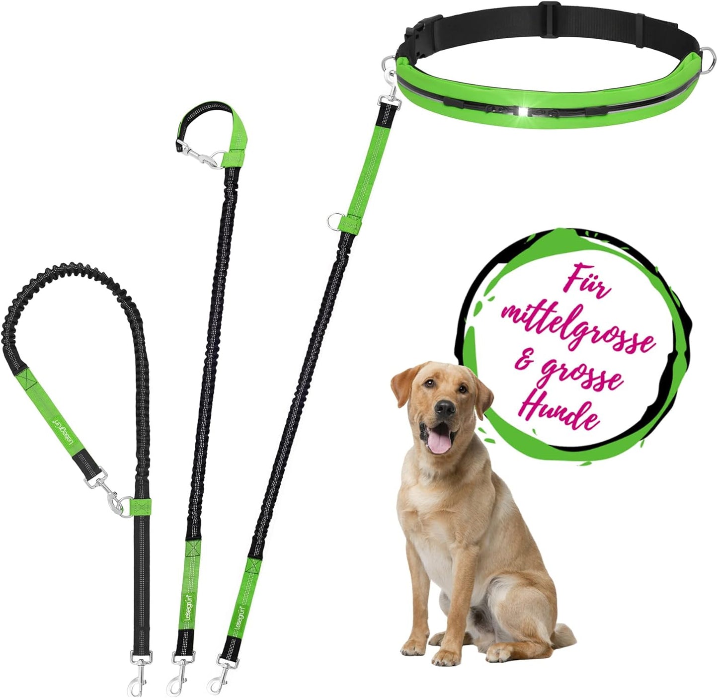 Joggingleine für grosse Hunde mit Bauchgurt und Ruckdämpfer, Set Joggingleine - Grosse Hunde, Grün