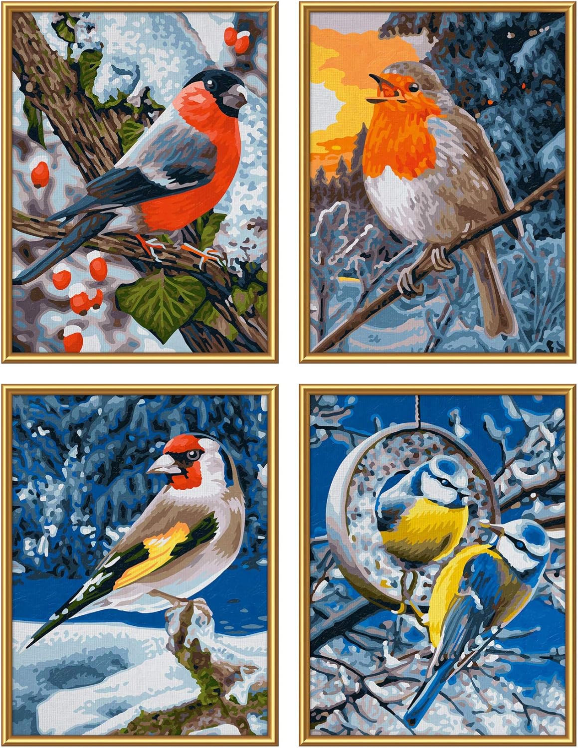 MNZ Wintervögel