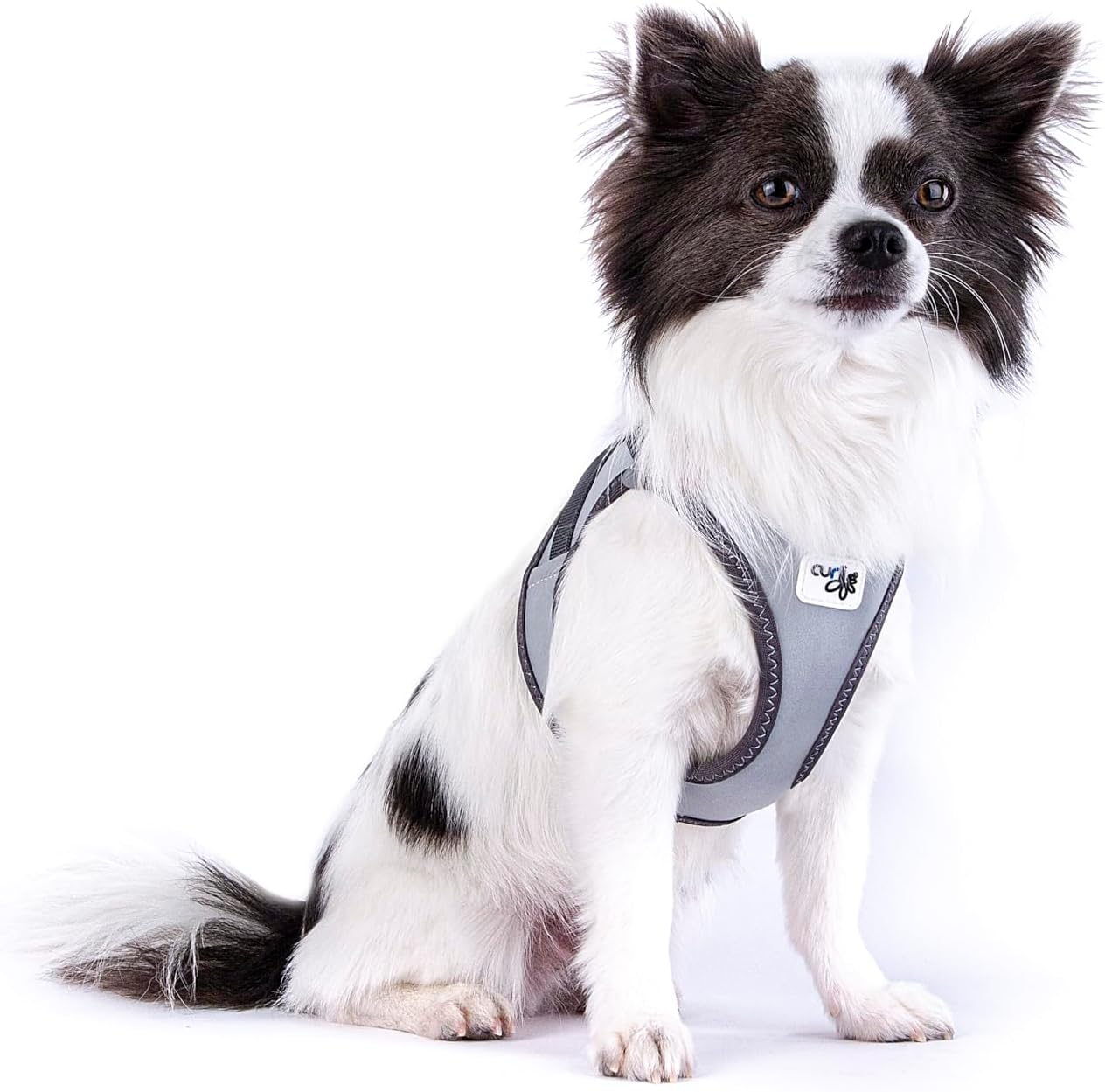 Reflektierendes Hundegeschirr, L