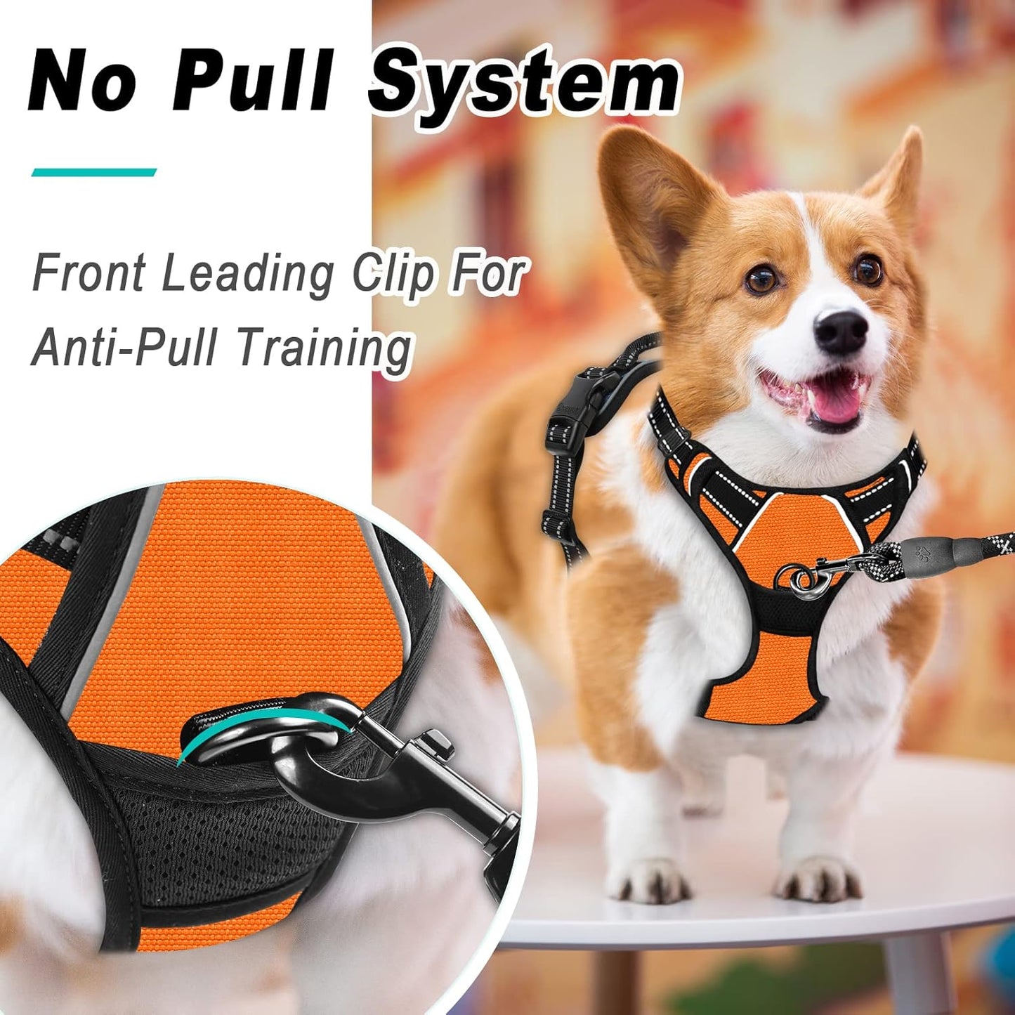 No Pull Hundegeschirr mit Frontclip und Kontrolle, Small, Orange/Abendrot im Zickzackmuster (Sunset Chevron)