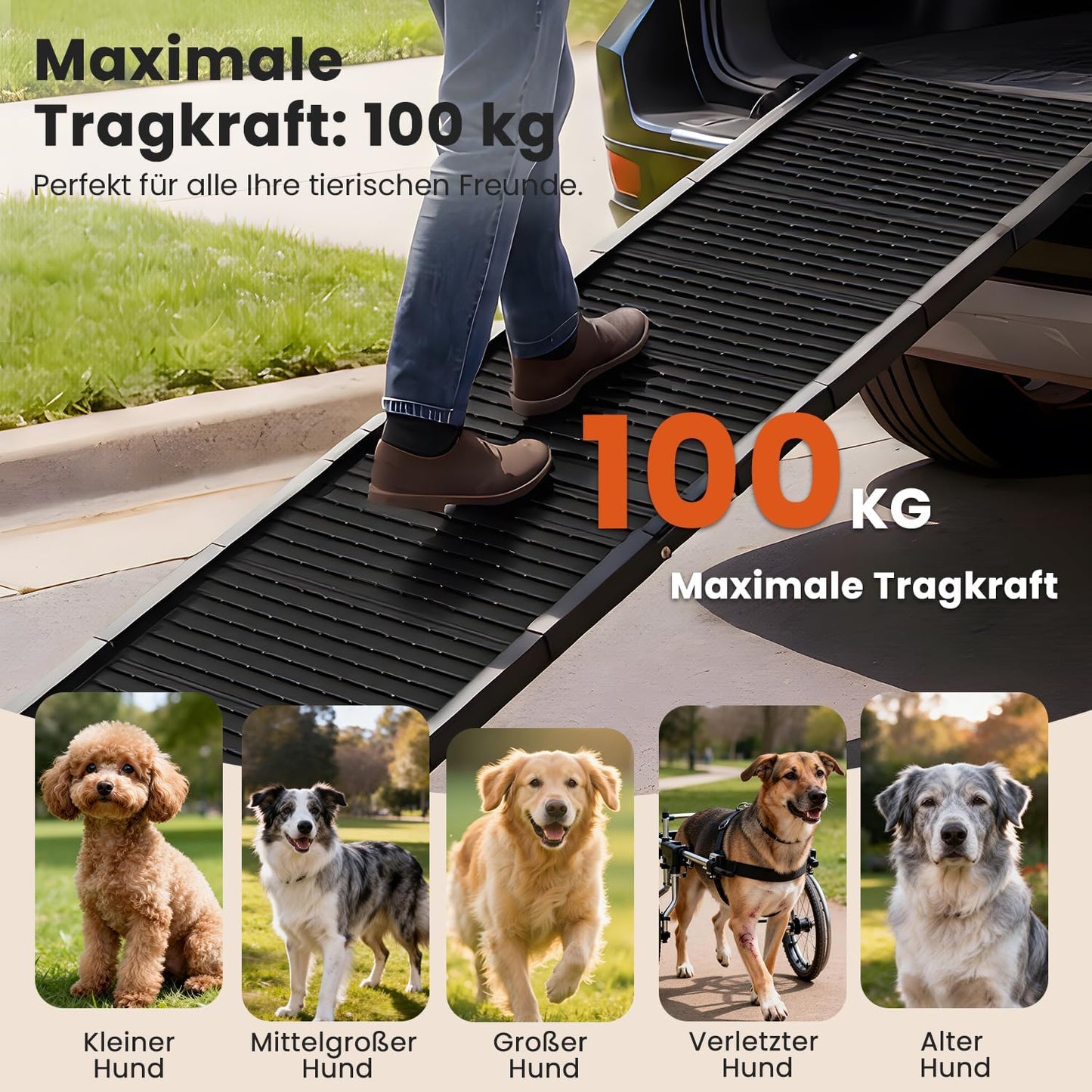 Klappbare Hundeautorampe