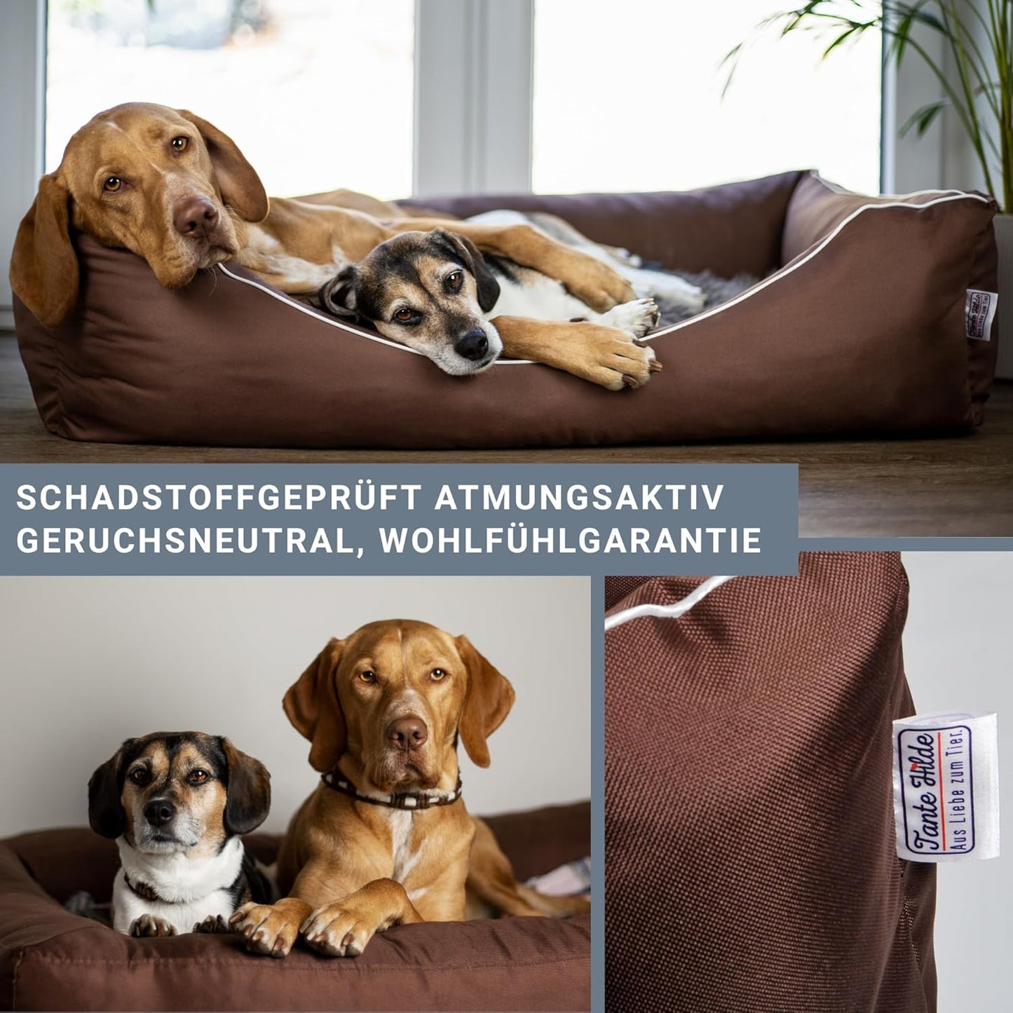 Hundebett, L 80 x B 60 x H 20 cm Grau