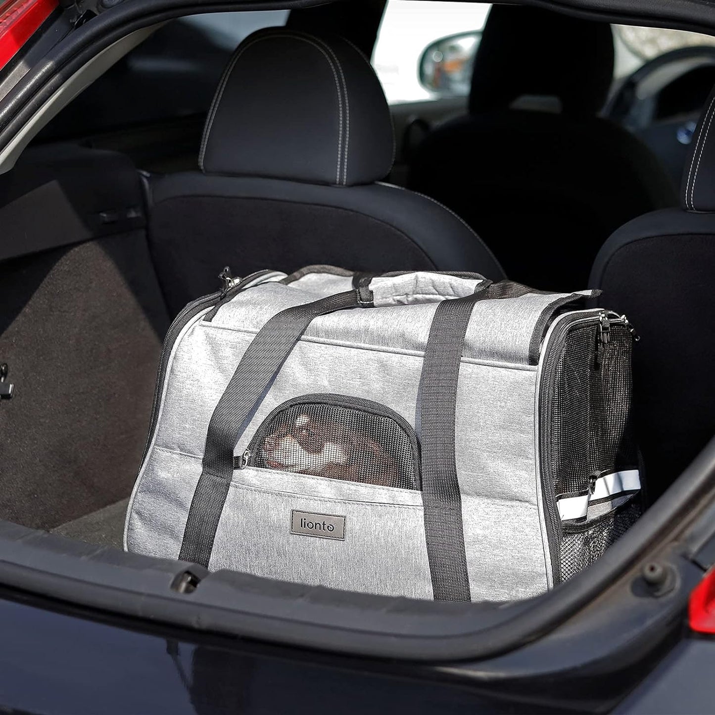 Hundetasche, Grau