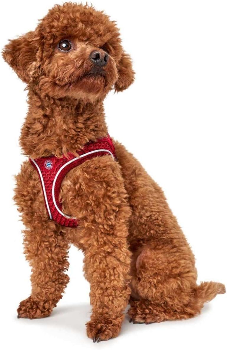 Hilo Comfort Hundegeschirr - FC Bayern, rot M