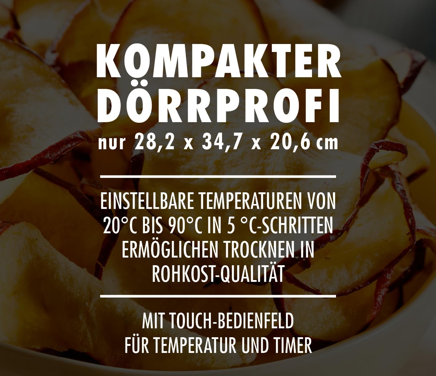 Dörrgerät Mini Professional