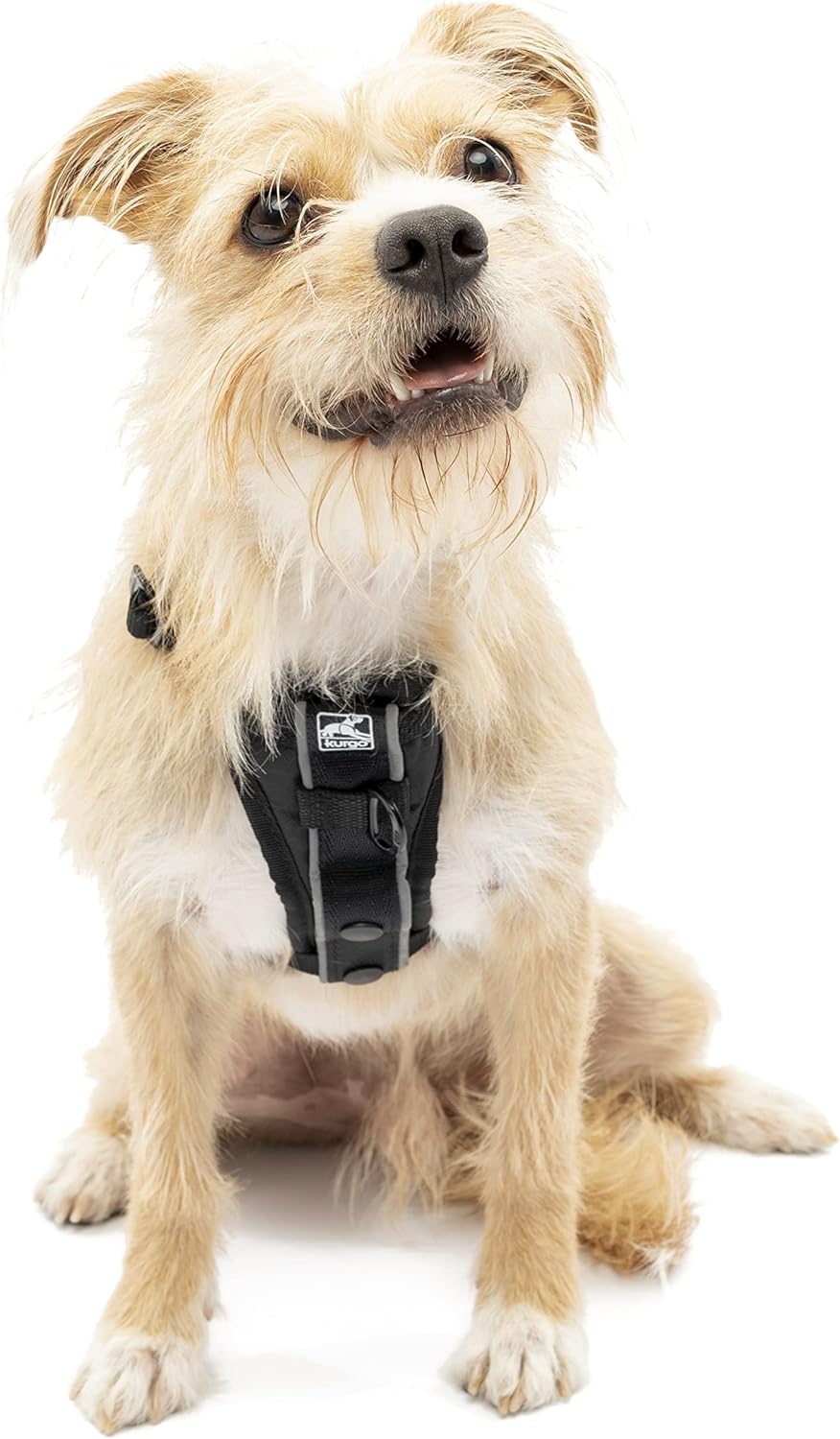 Hundegeschirr - Tru-Fit Smart, XS