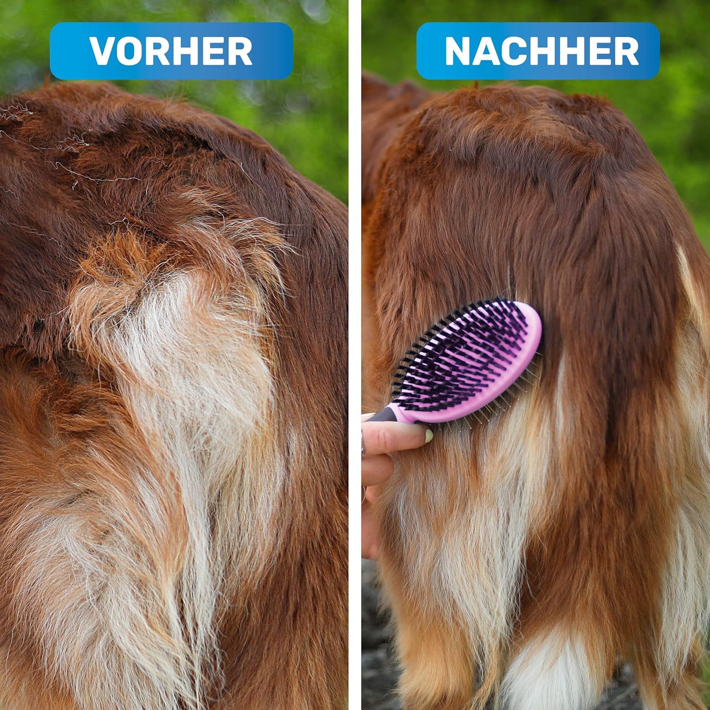 Doppelseitige Hundebürste, Rosa