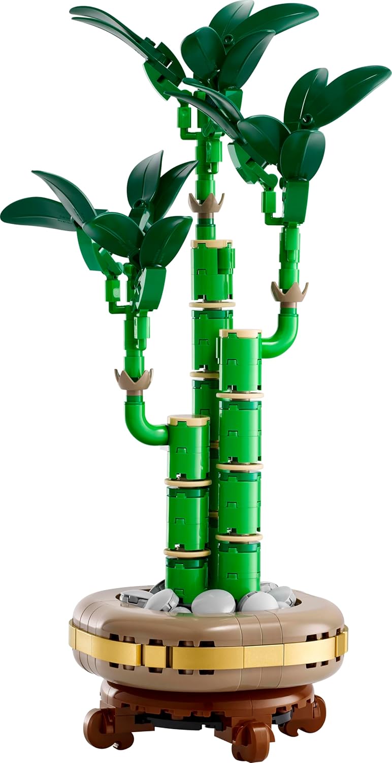 Botanicals Glücks-Bambus