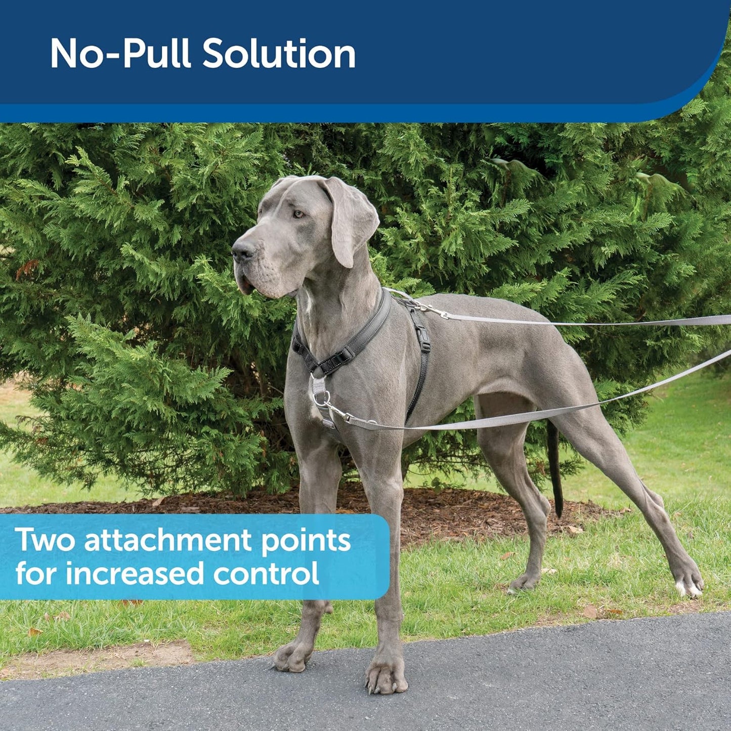 3-in-1 Hundegeschirr mit Zweipunkt-Kontrollleine, Schwarz, Large (Pack of 1)