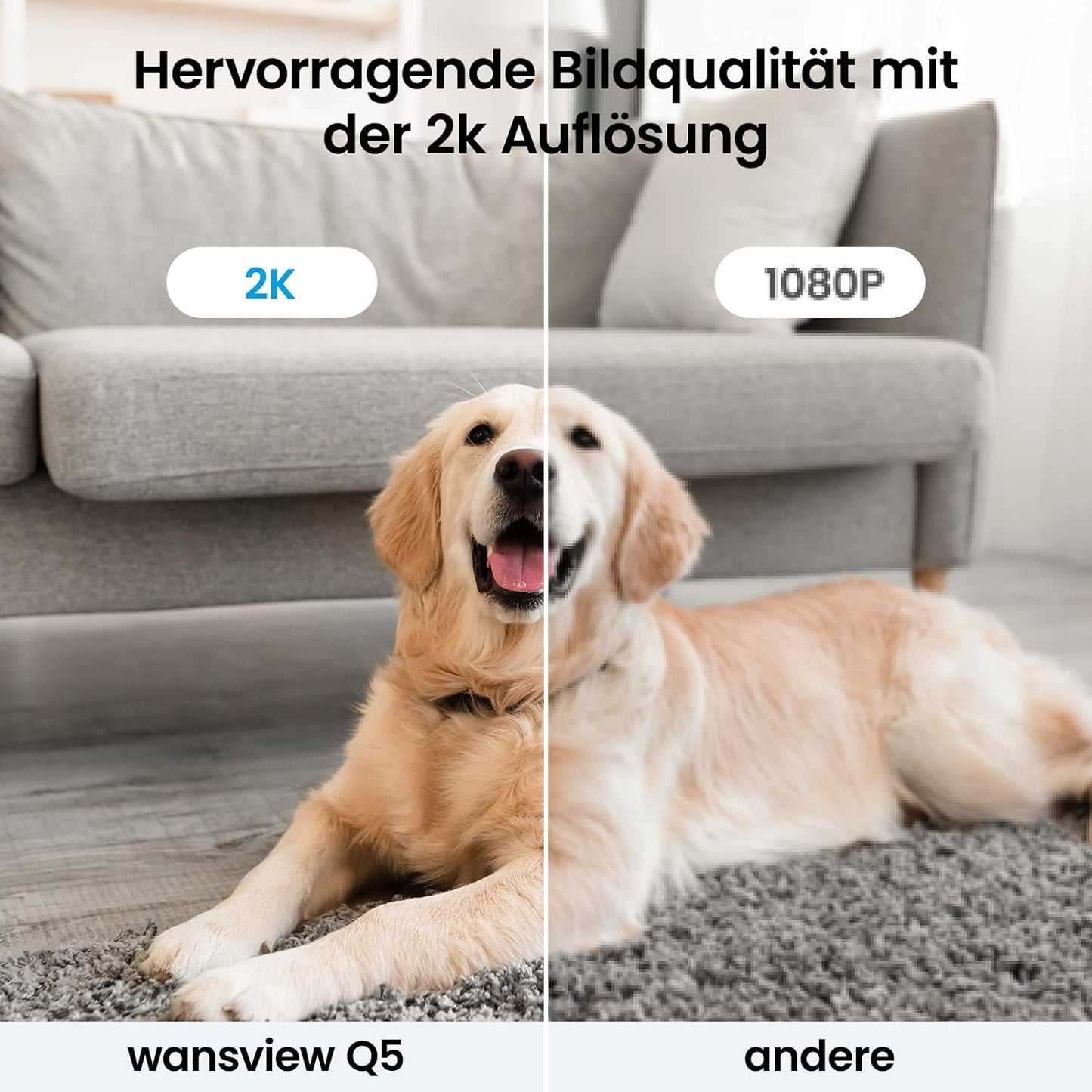 Überwachungskamera, Schwarz