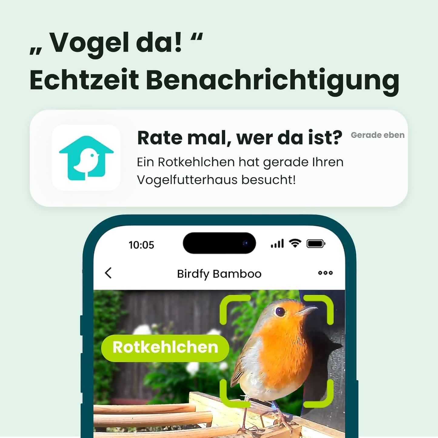 Vogelfutterhaus mit Kamera und Nachtsichtfunktion, AI by Subscription