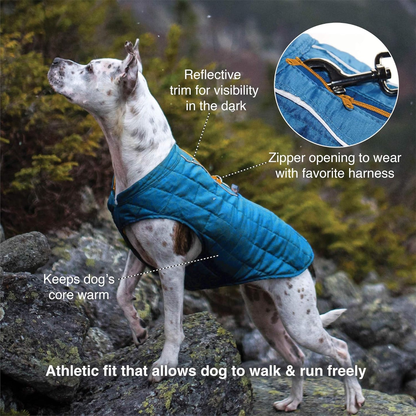 Wendbarer Wintermantel für Hunde, Small Loft Jacke Gepresstes Blatt
