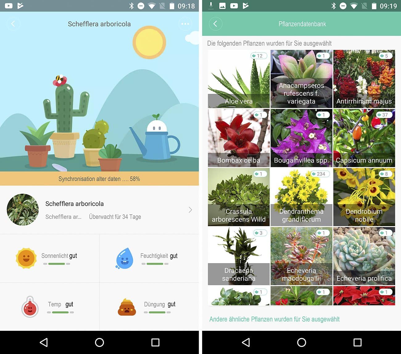 2er-Set 4in1 Pflanzensensoren mit App-Steuerung