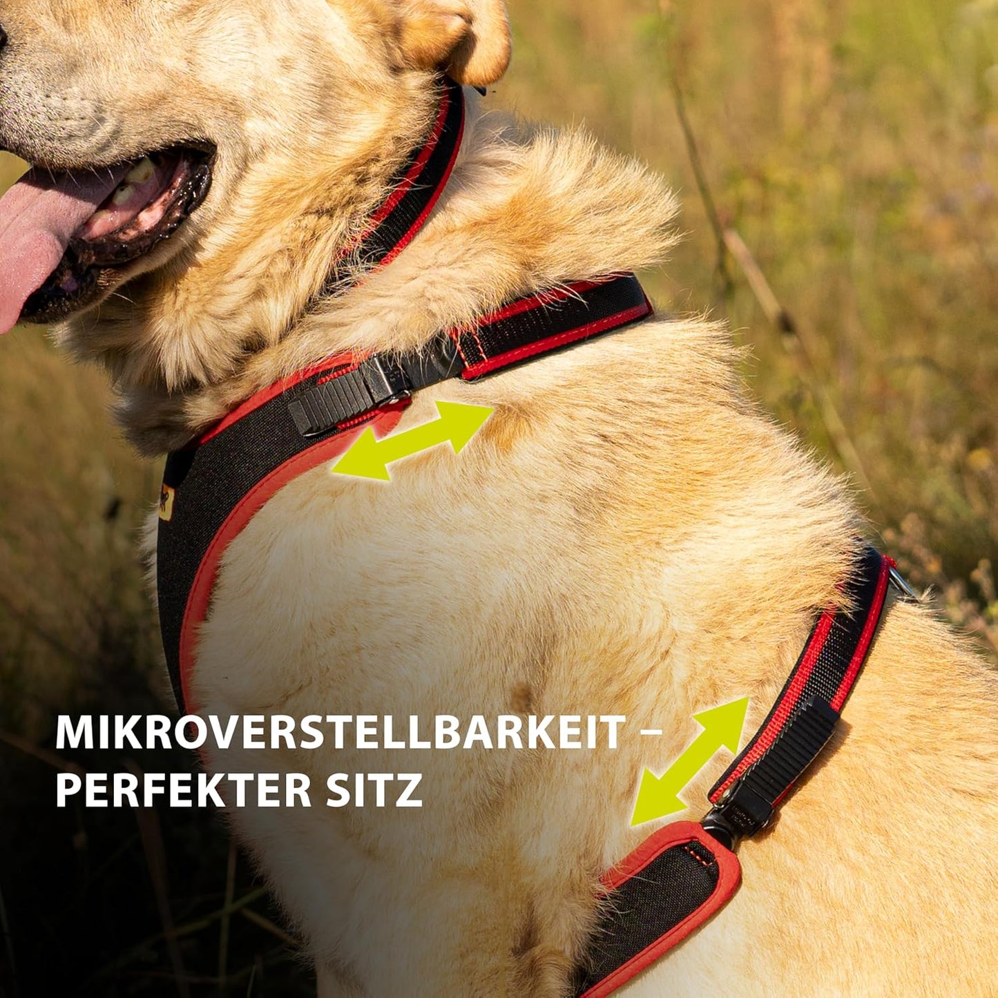 Verstellbares Hundegeschirr, Rot|Halsumfang: 50-60 cm/ Brustumfang: 70-80 cm