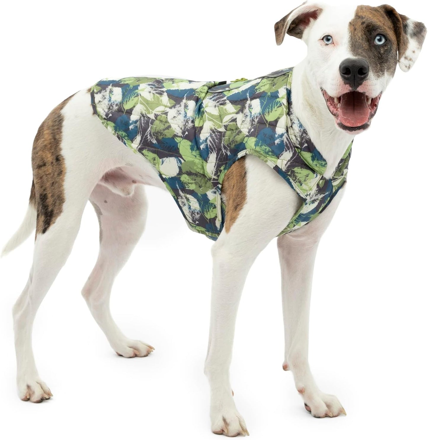 Wendbarer Wintermantel für Hunde, Small Loft Jacke Gepresstes Blatt