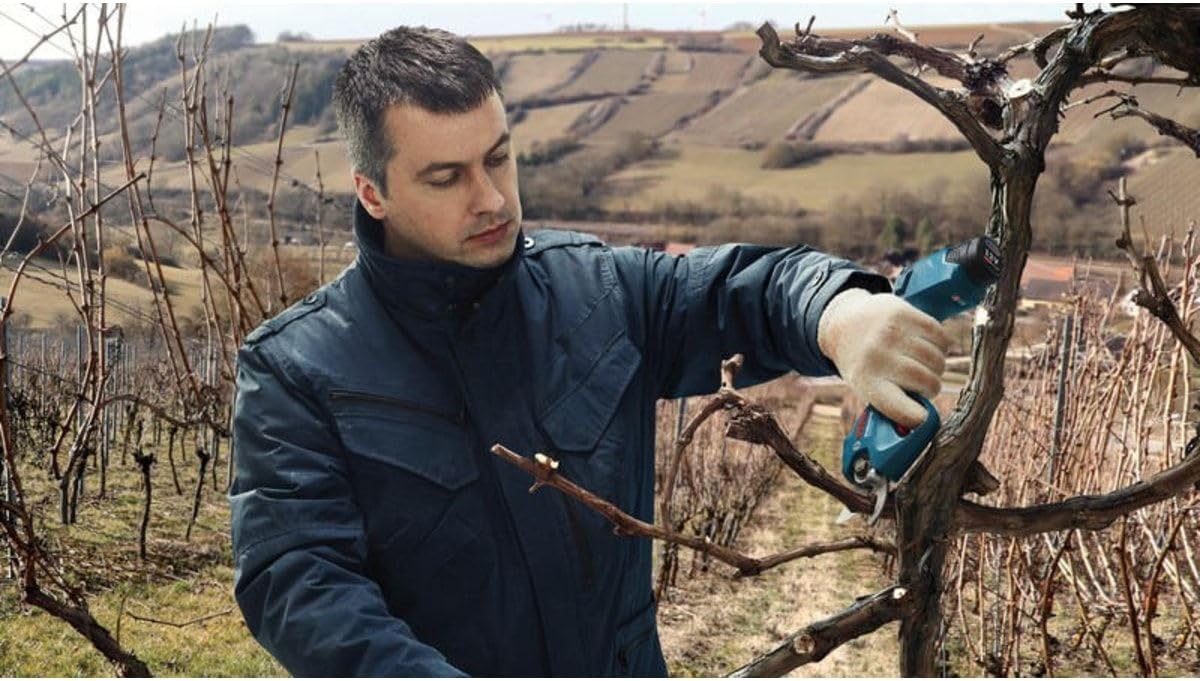 Akku-Astschere Pro Pruner, ohne Akku, Pro Pruner ohne Akku
