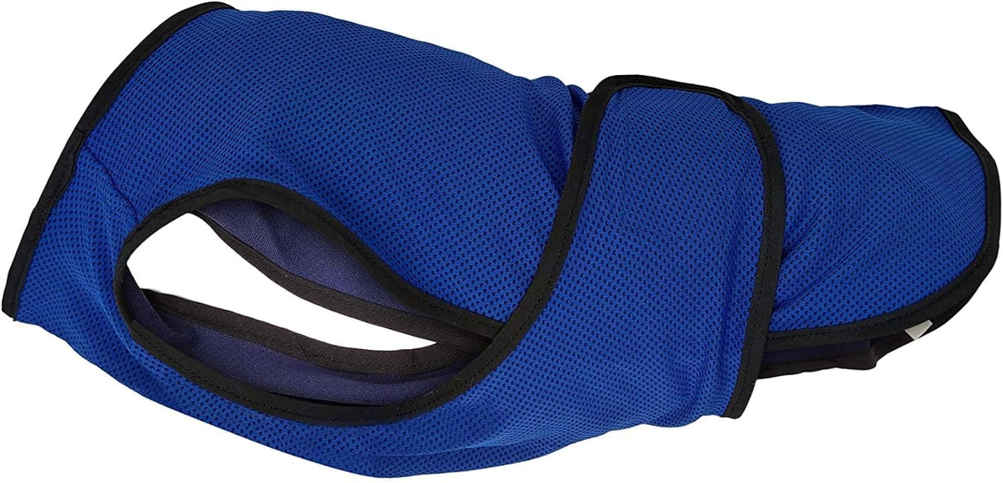 Hundemantel & Kühlweste für kleine Hunde, L Blau