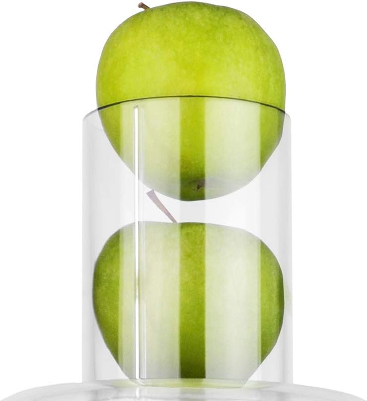 Vital Juicer Pro