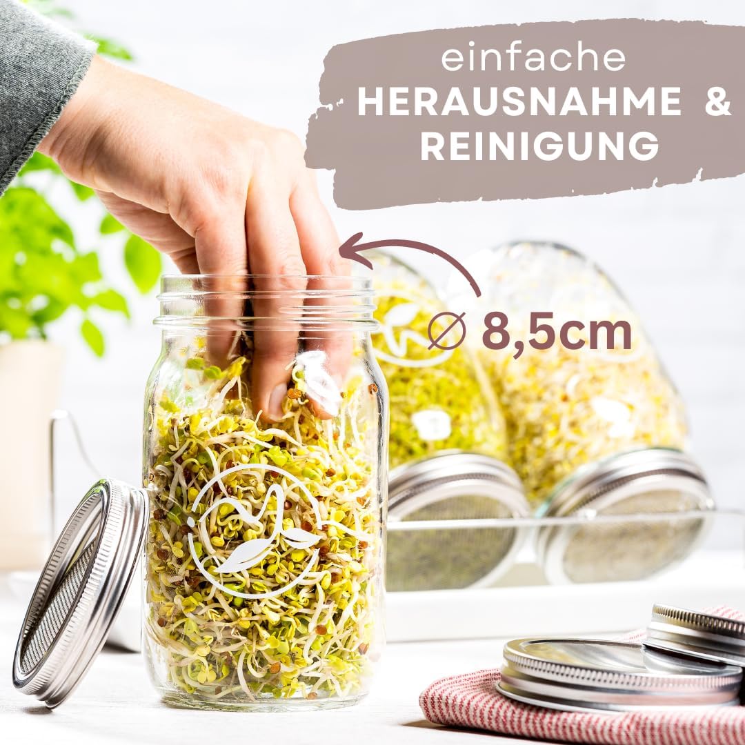 3er-Set Keimglas