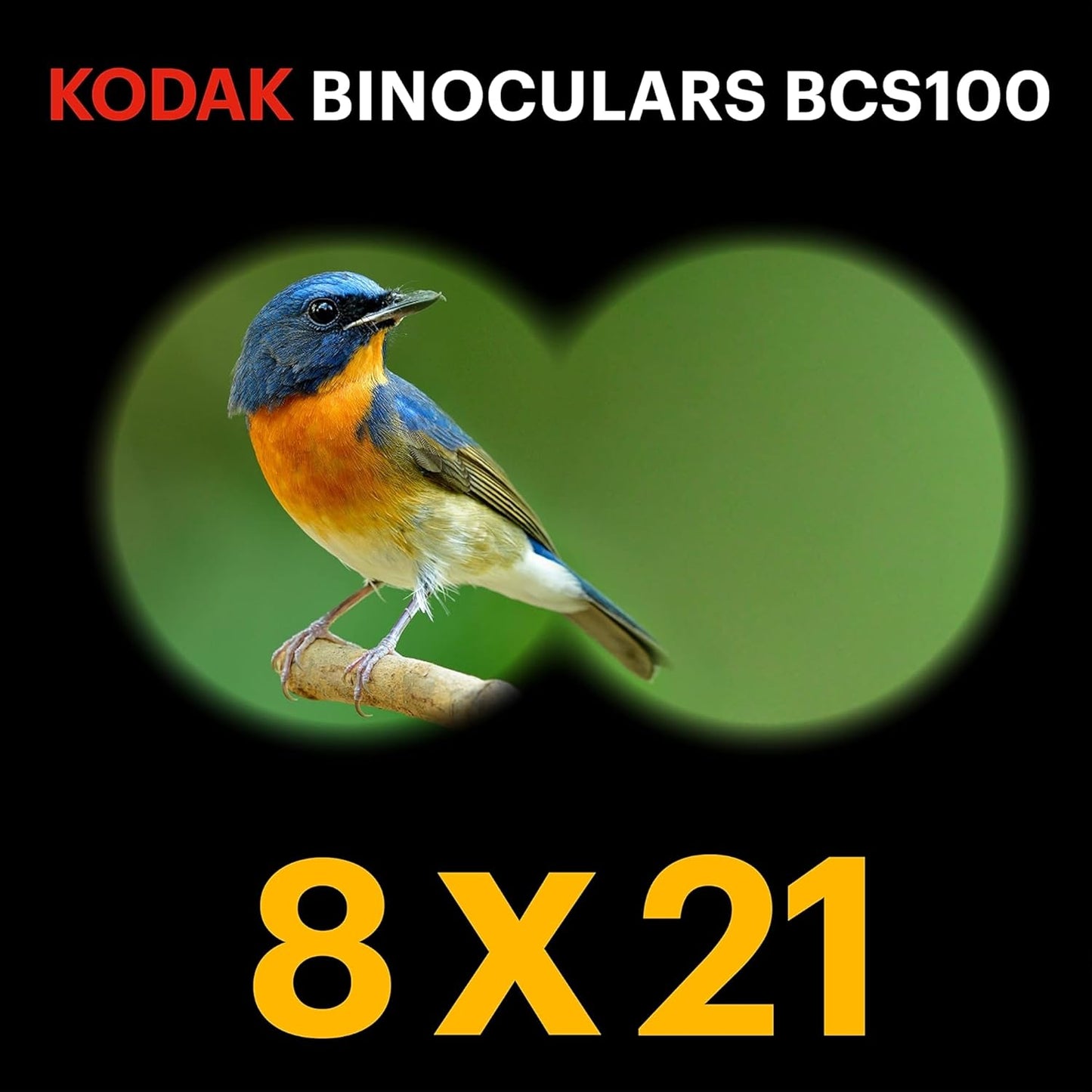 Fernglas für Kinder BCS100, ROT BCS100