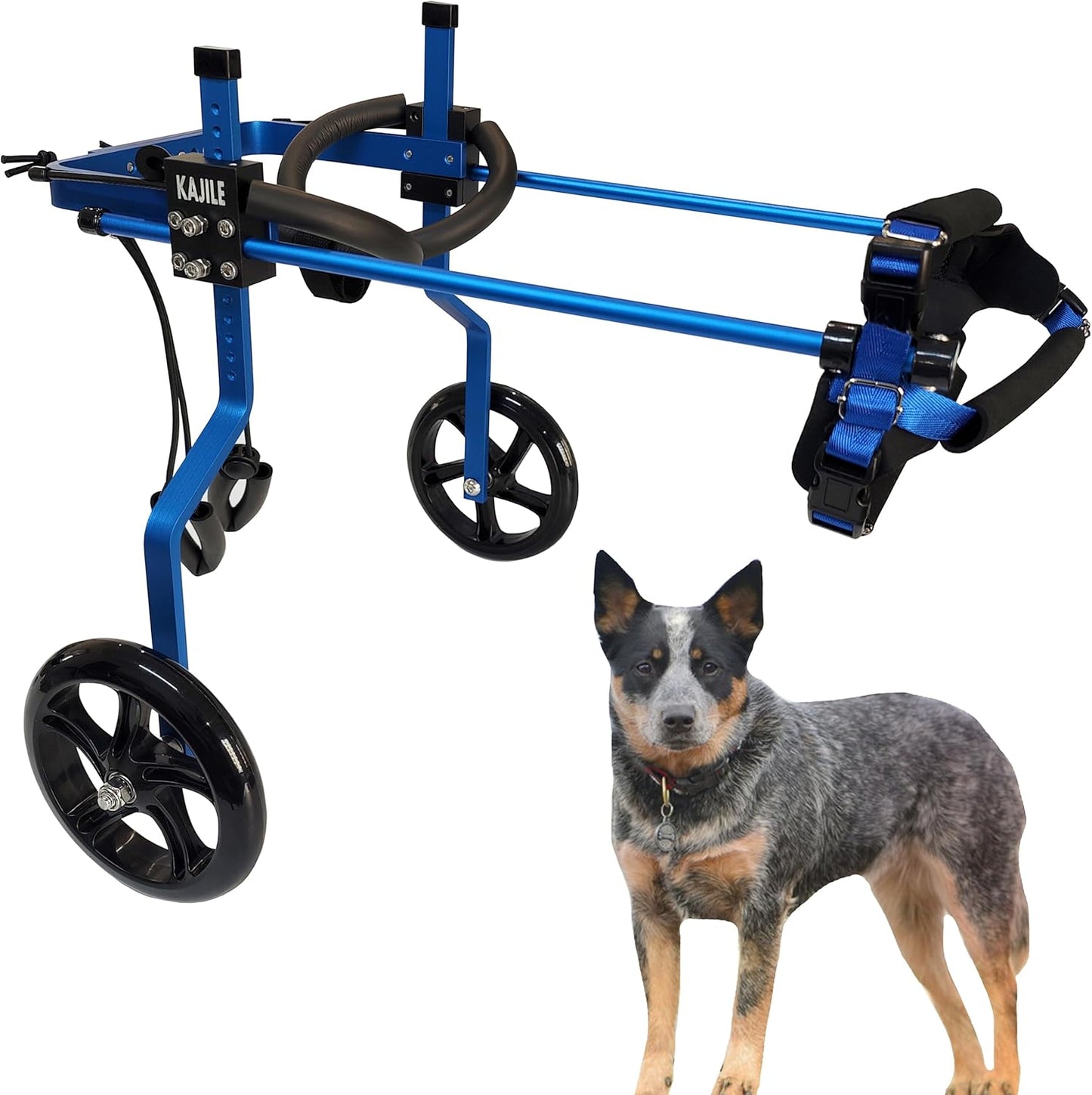 Verstellbarer 2-Rad-Hunderollstuhl für Rehabilitation, L-1