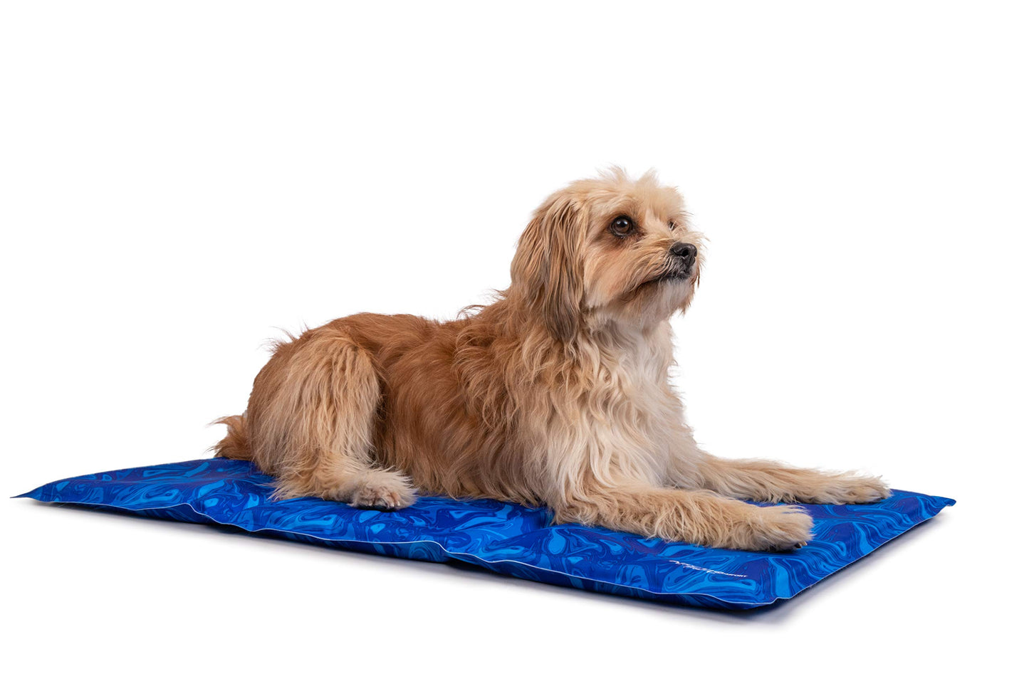 Premium Kühlmatte für Hunde, 60x45cm