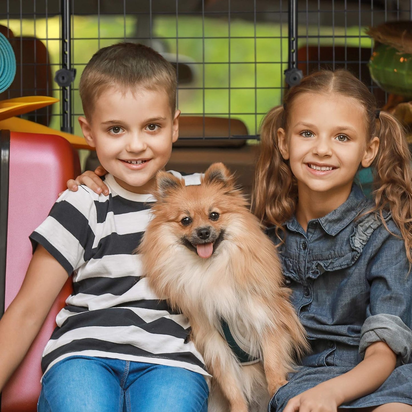 Universal Hundegitter für Autos