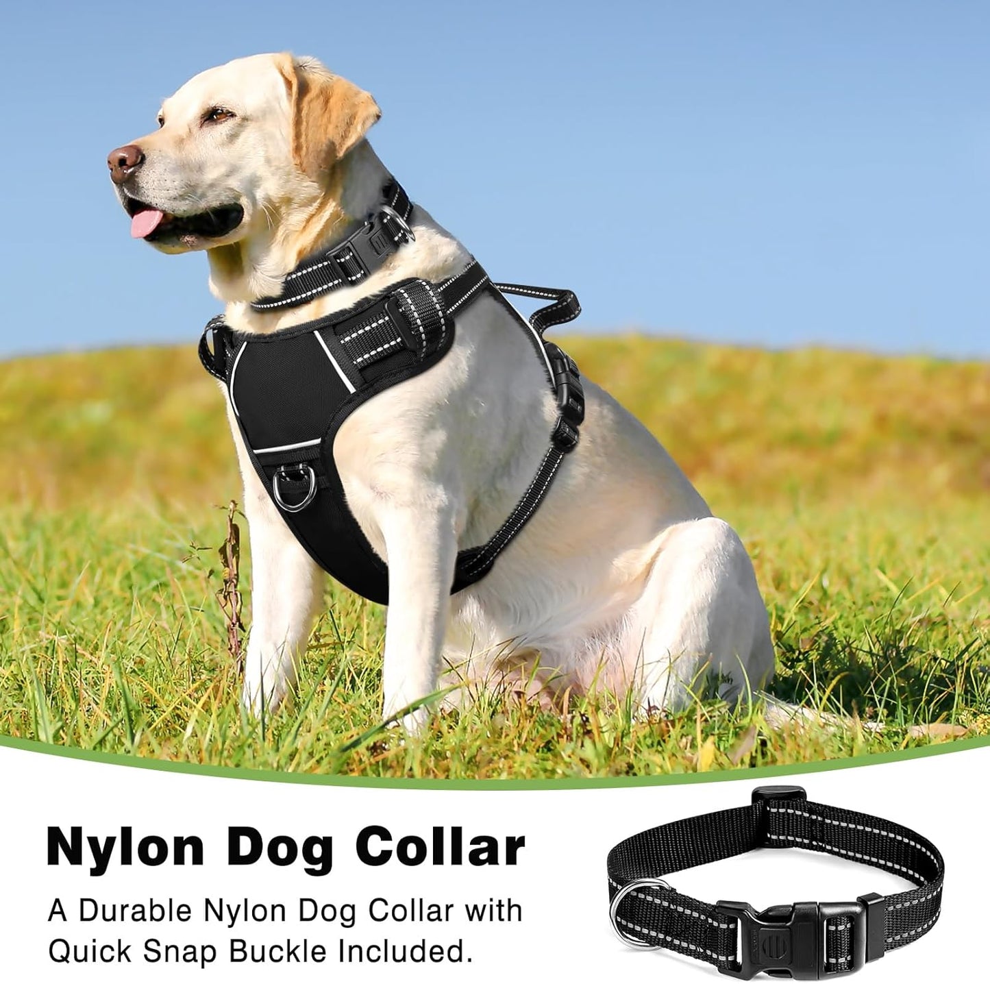 Hundegeschirr mit Halsband, Large Schwarz
