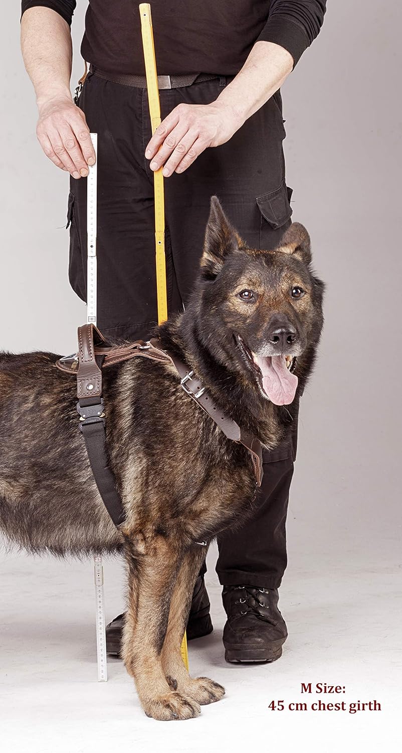 Hundegeschirr, bronze XL