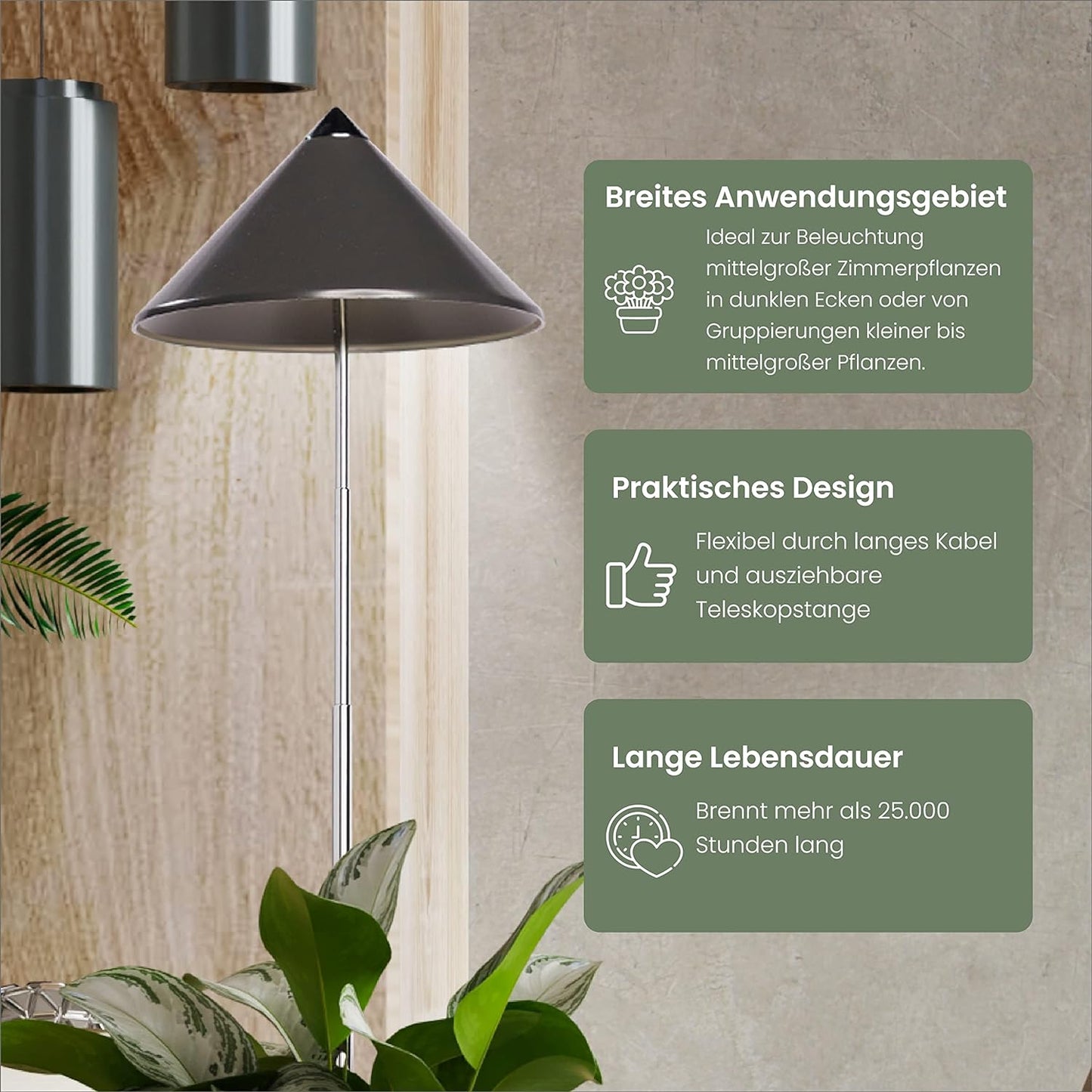 SUNLiTE, Grau