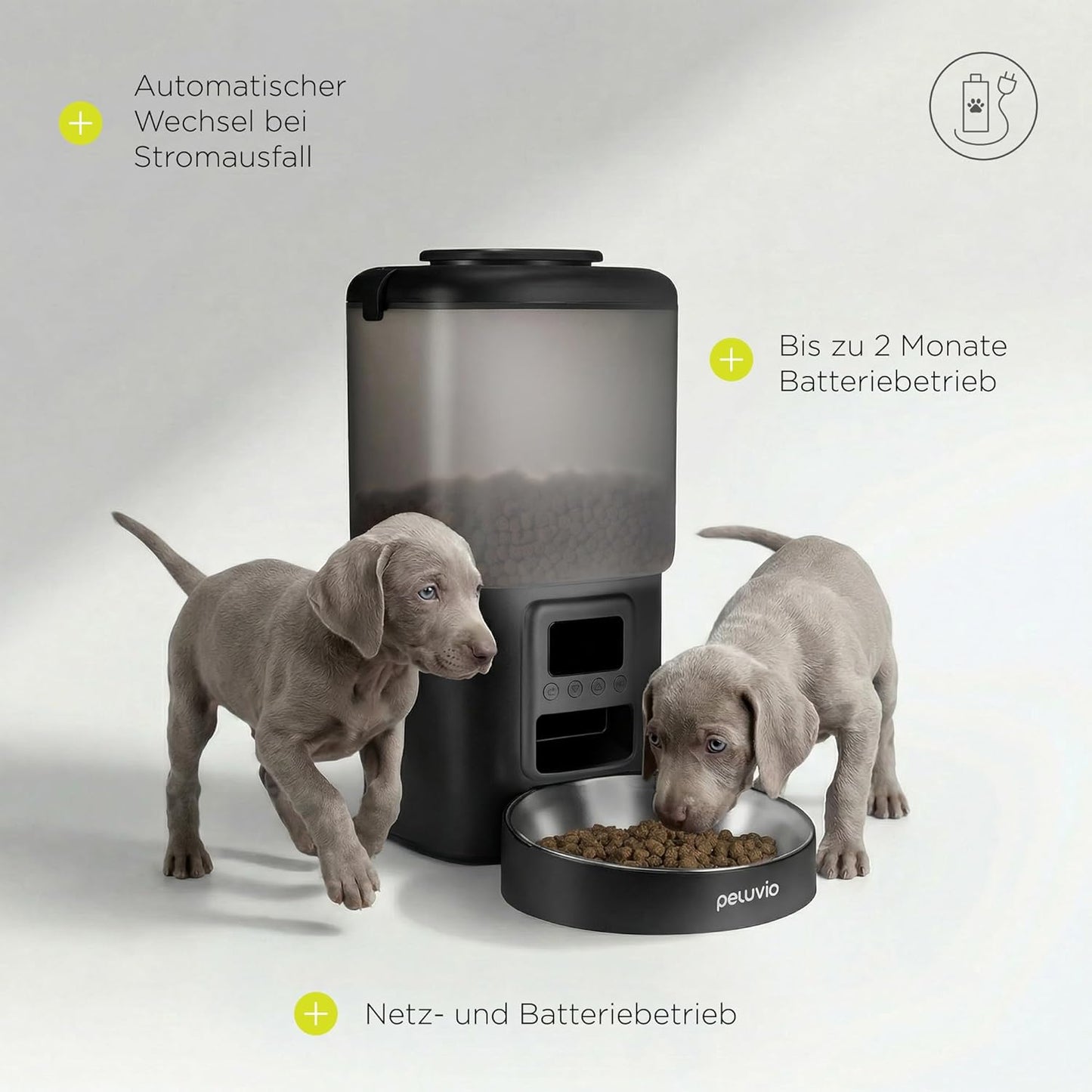 Automatischer Hunde-Futterspender mit Timer