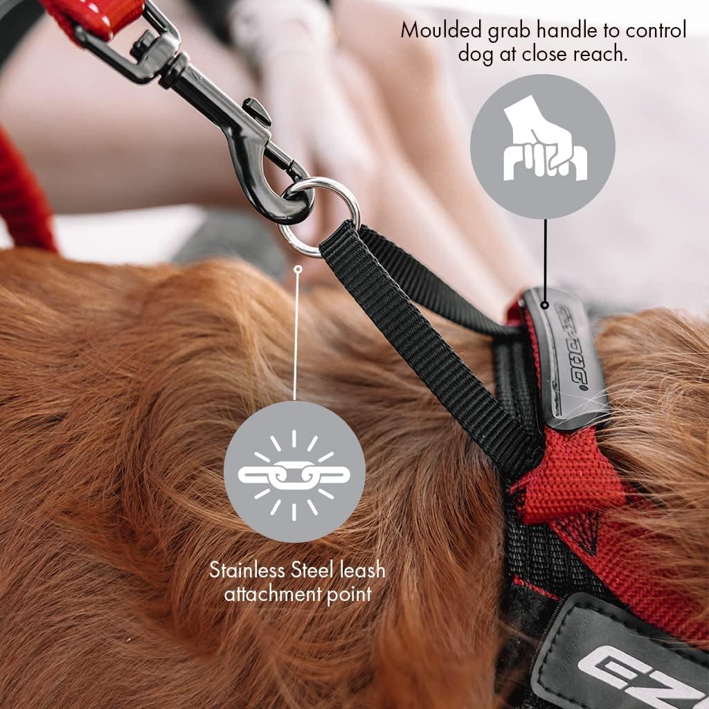 Ergonomisches Express Hundegeschirr mit Schnellverschluss, Small / blau