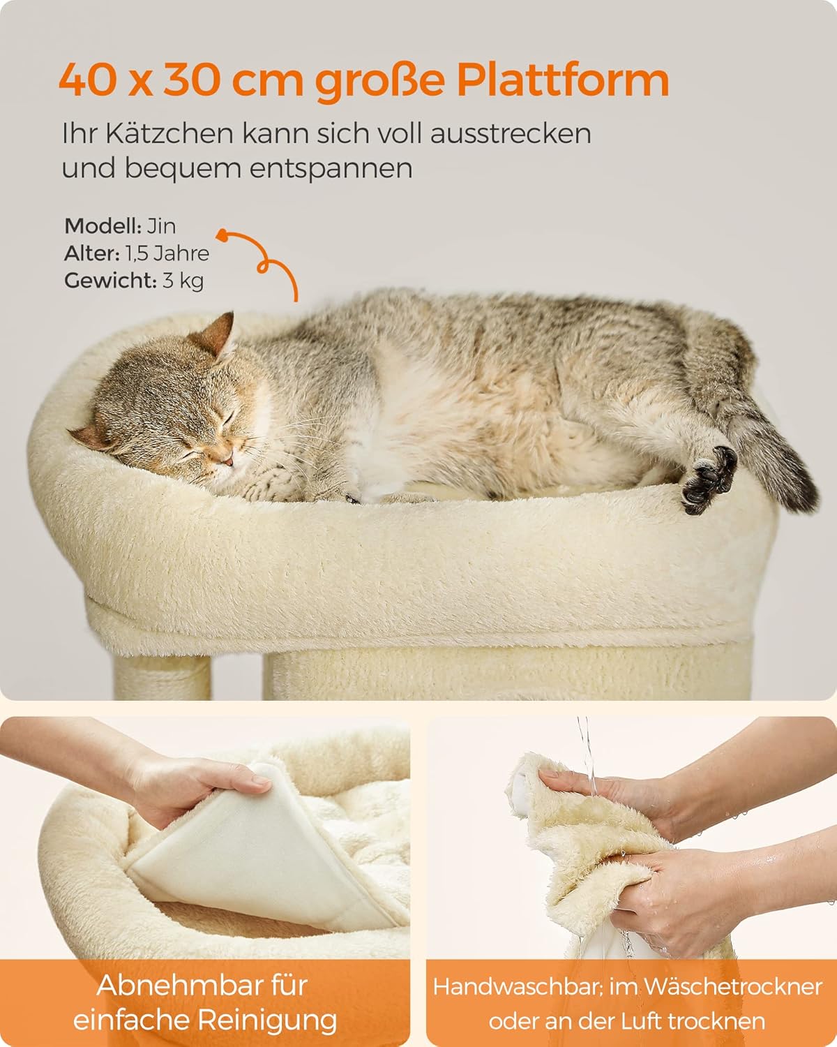 Kleiner Kratzbaum PCT611M01, Beige