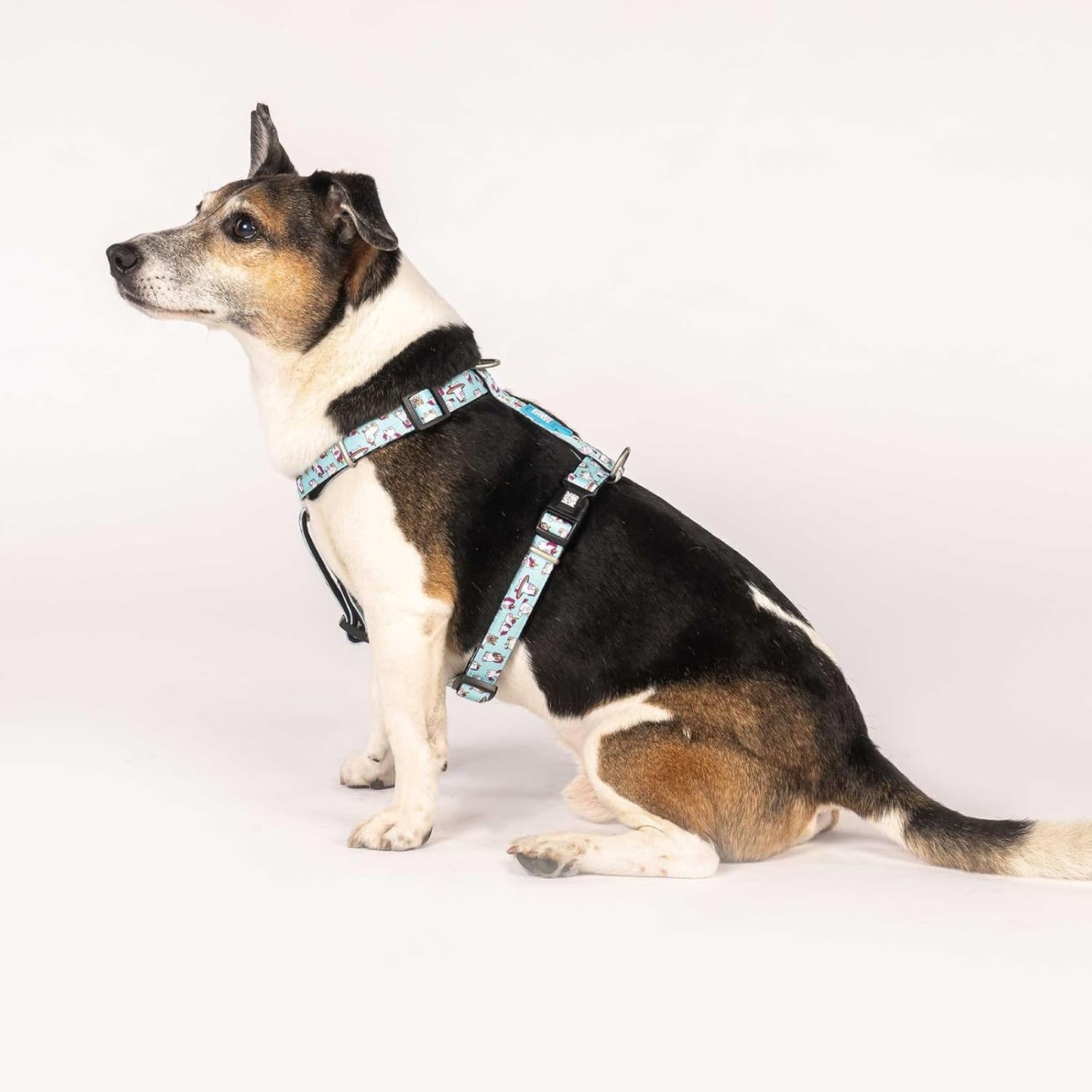 H-Geschirr aus Neopren für kleine Hunde, S Unicorn