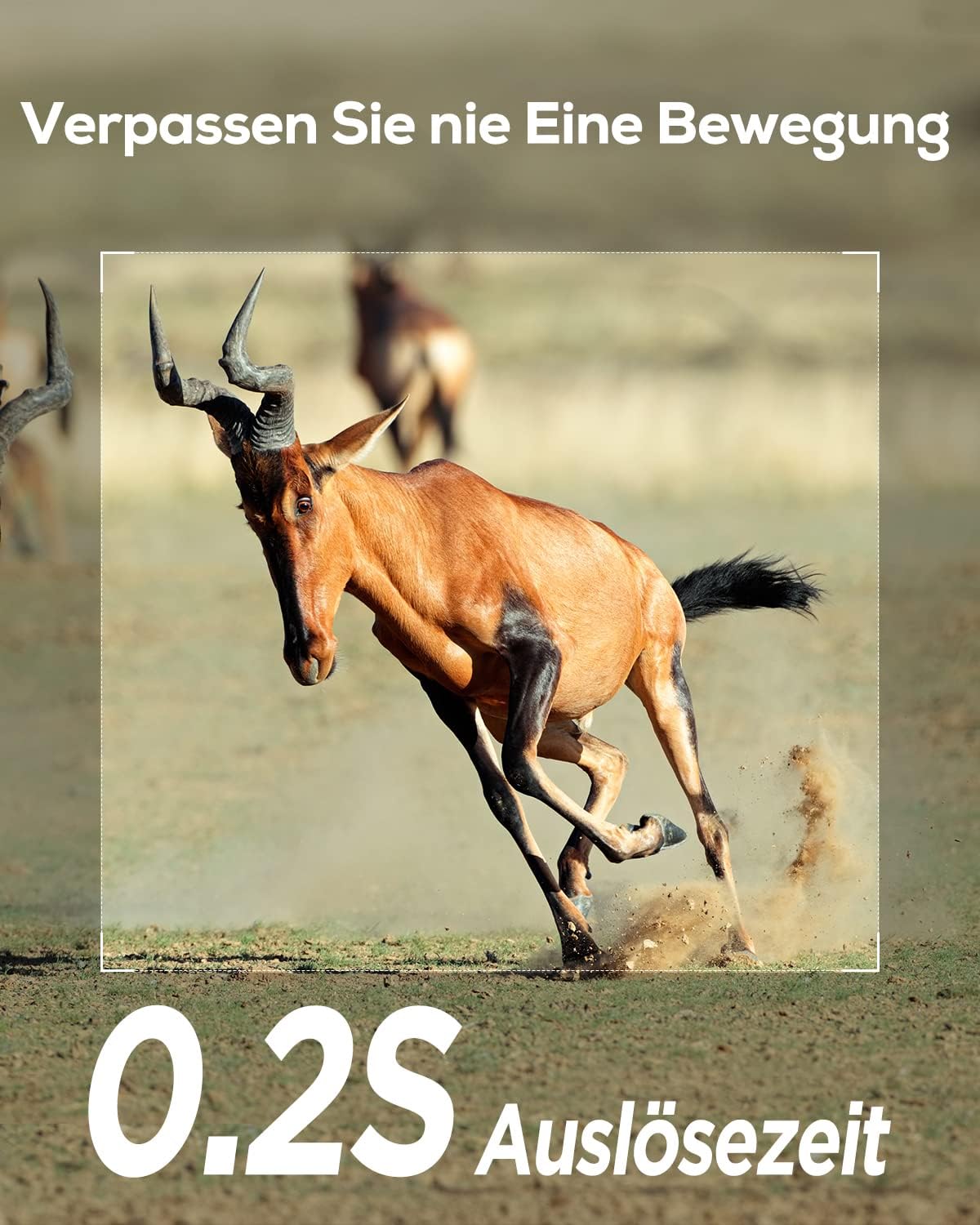 Wildkamera mit Bewegungsmelder und Nachtsicht