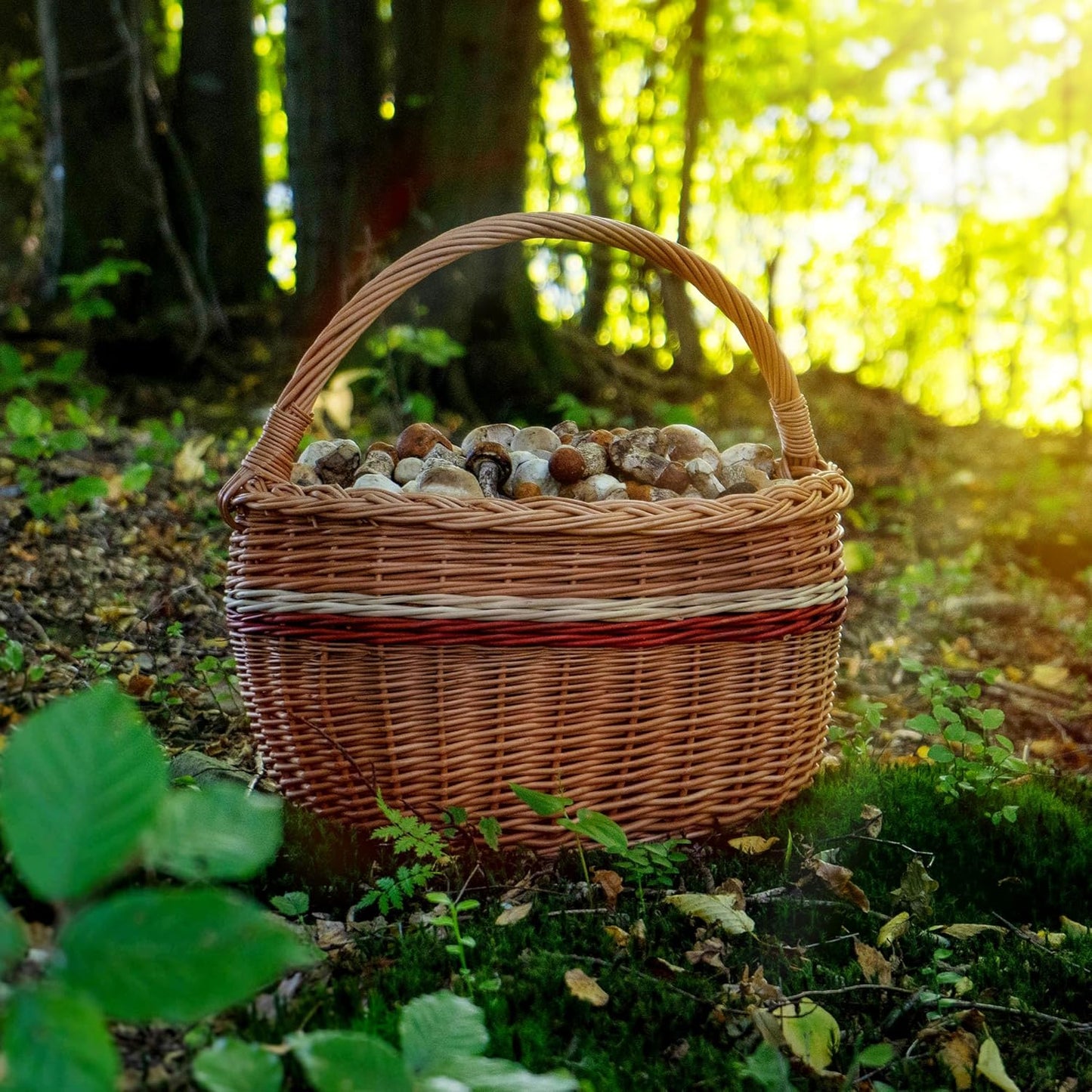 Weidenkorb mit Henkelgriff für Pilze und Einkäufe, 44x26x41cm Mix