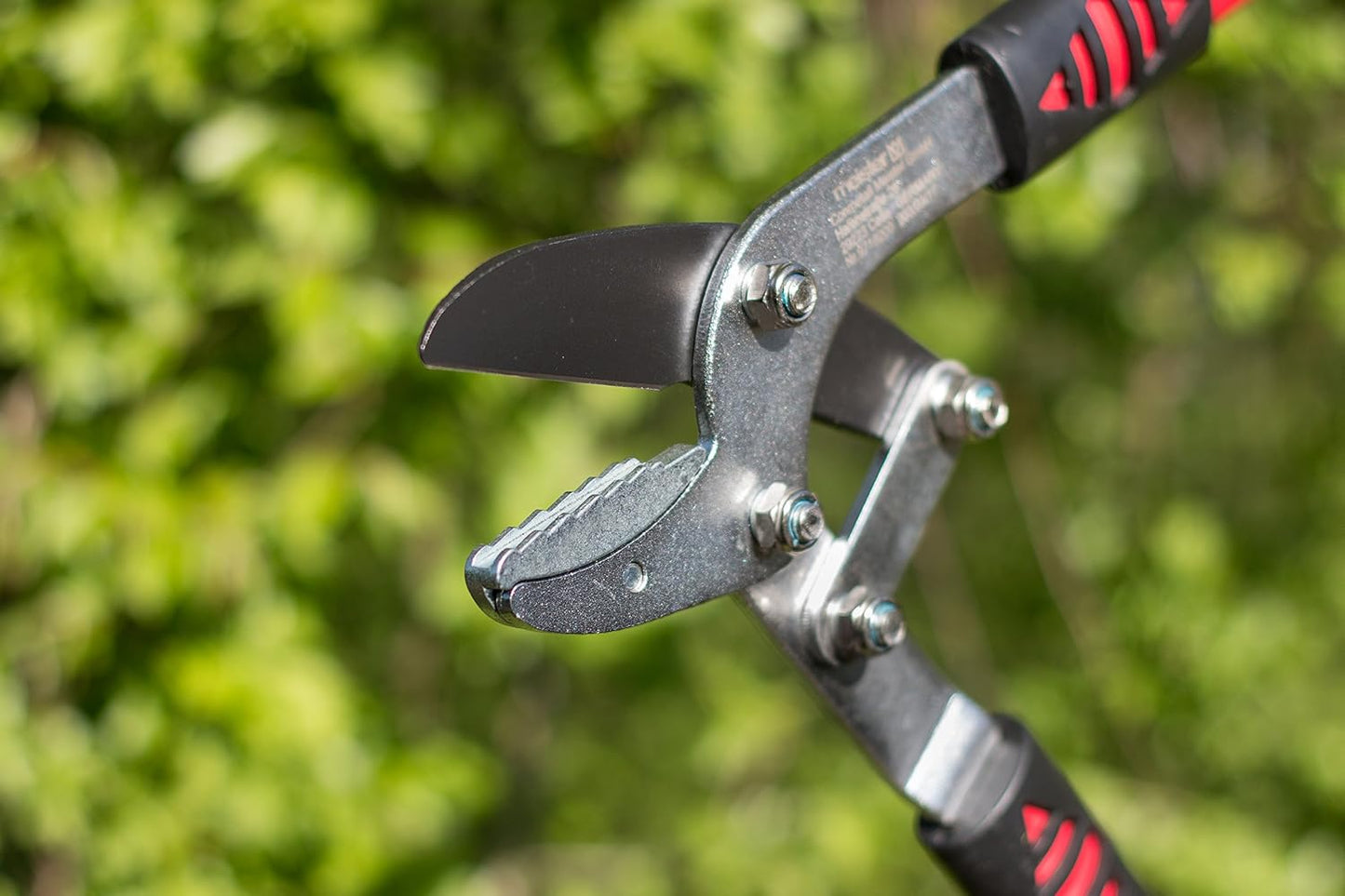 Astschere mit Amboss-Klinge, Amboss