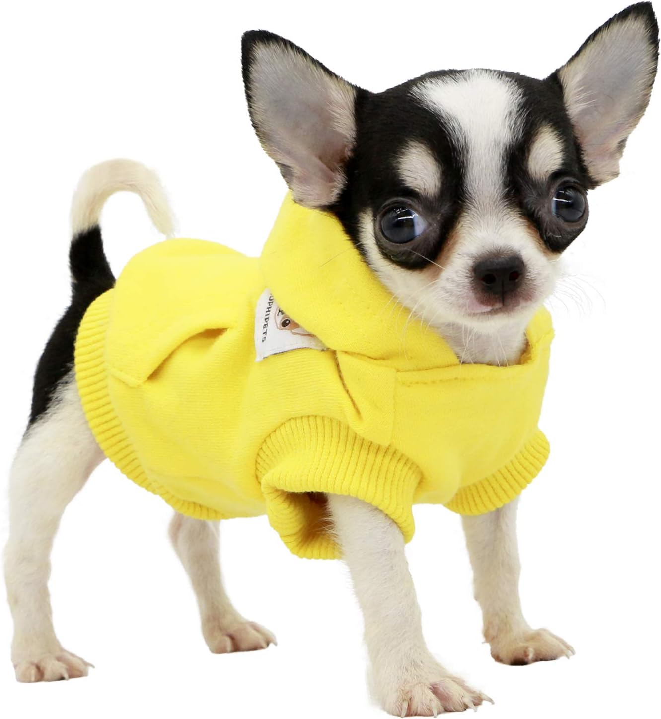 Hunde Hoodie für kleine Hunde, XX-Small (Pack of 1) gelb