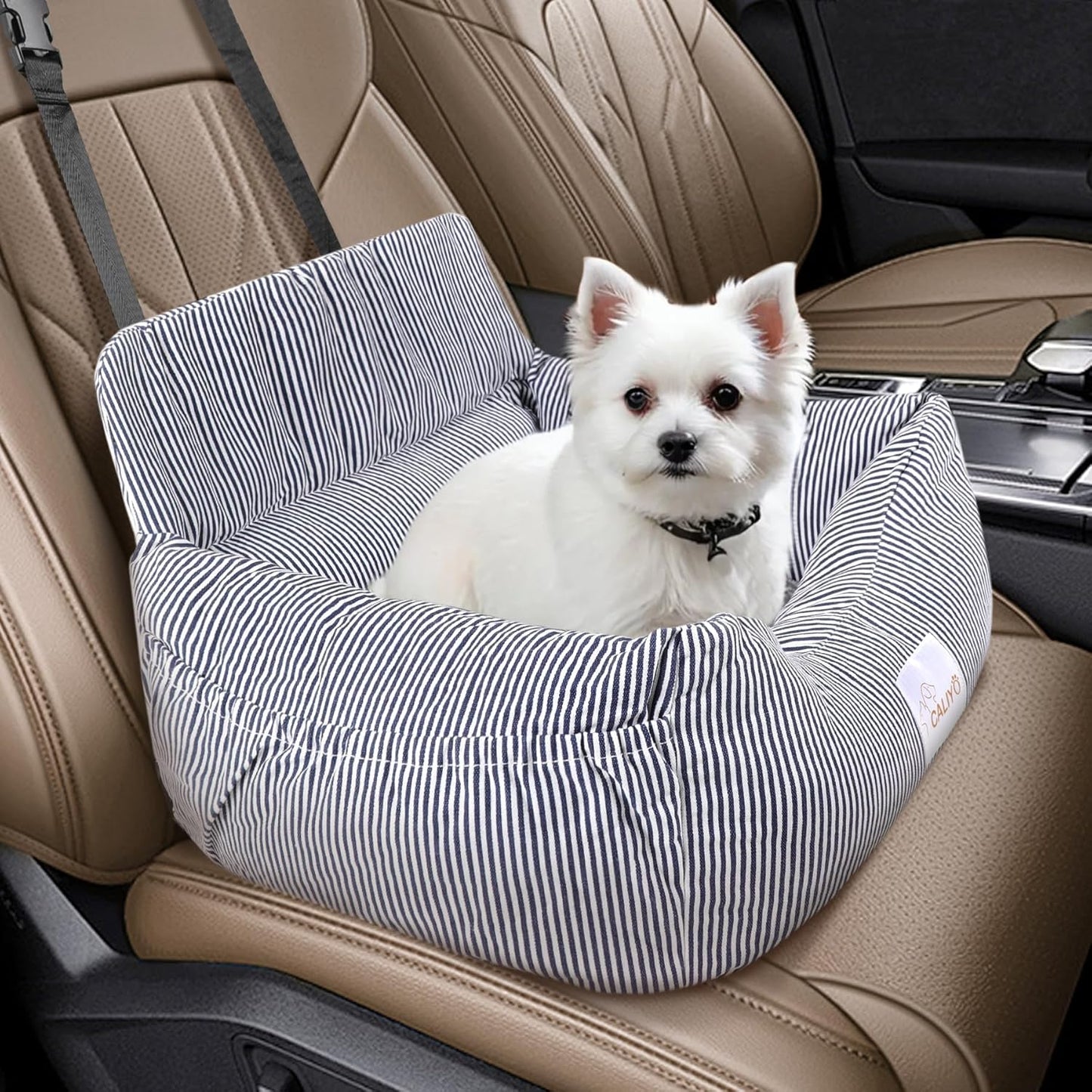 Hundeautositz mit Sicherheitsgurt bis 10 kg, wasserdicht, Blau-Weiss